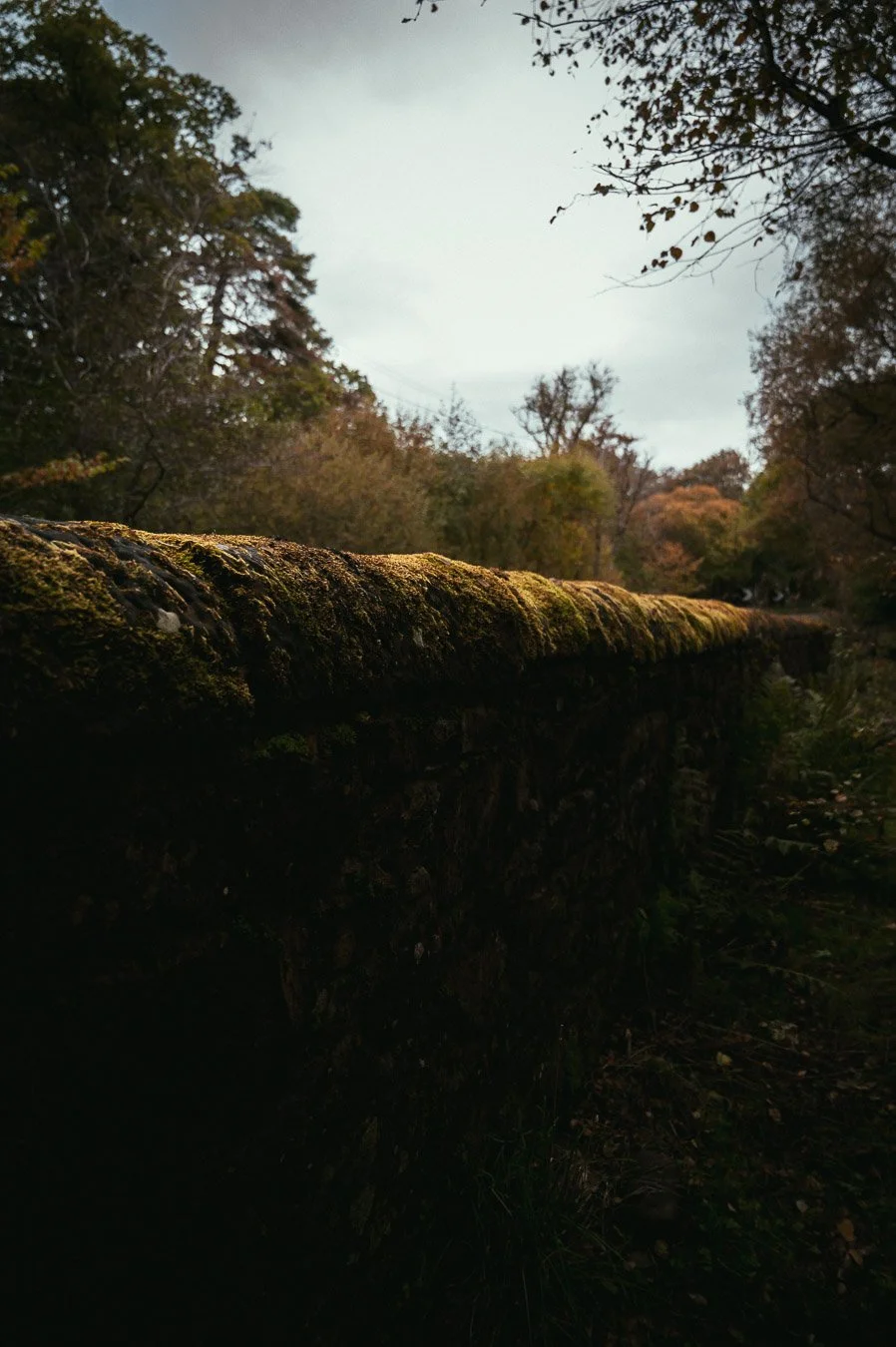 moss-wall-moody-grey-scotland-digital-download.jpg