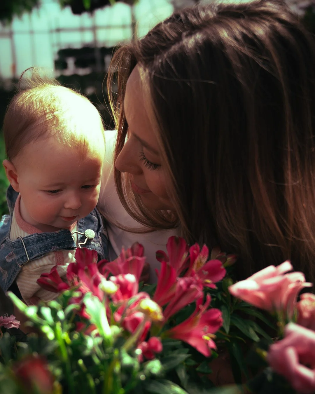 Airdrie and Calgary Garden Centre Mother's Day Mini sessions