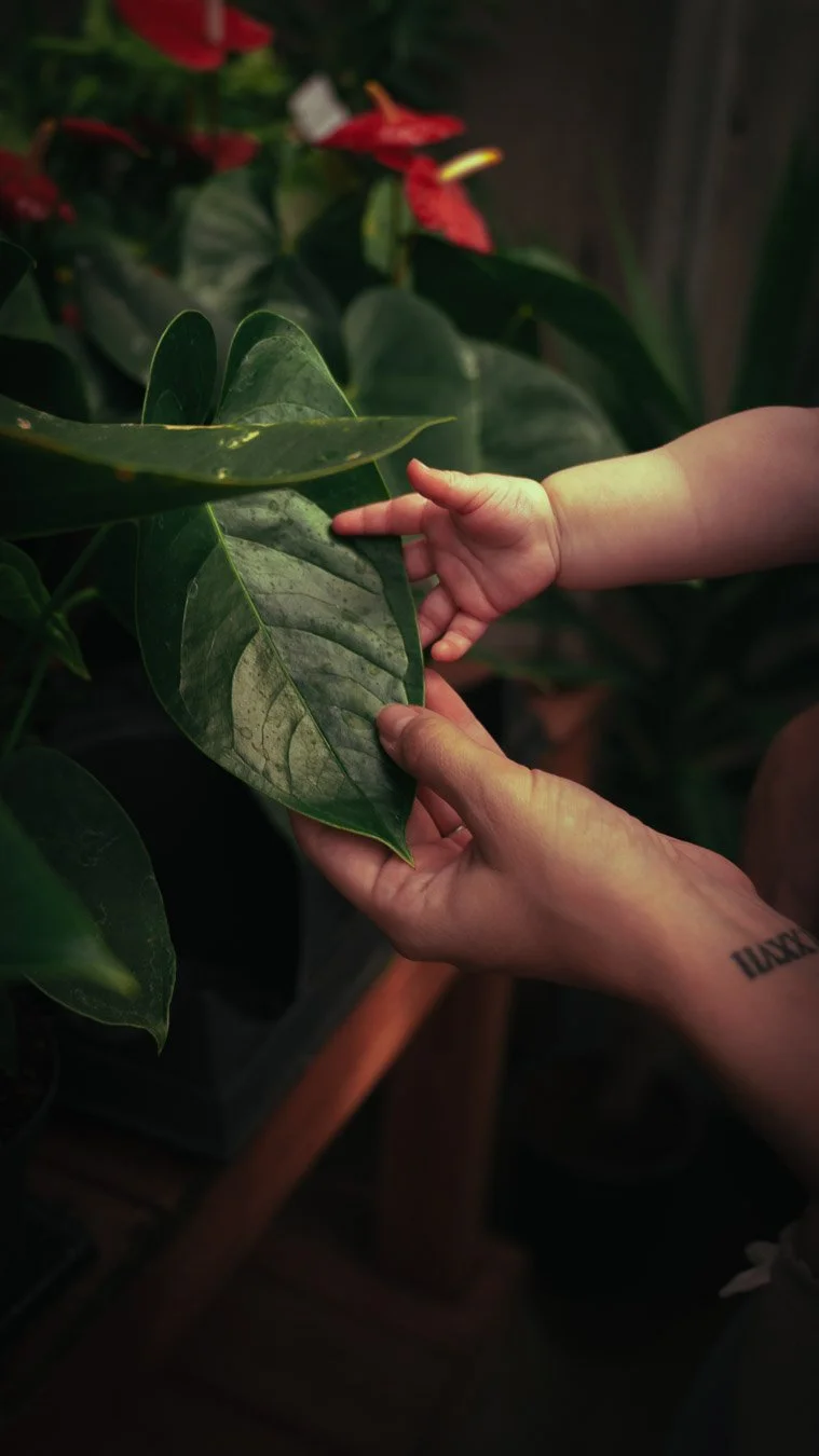 Close-up of mother holding baby hands during Mother’s Day photo session