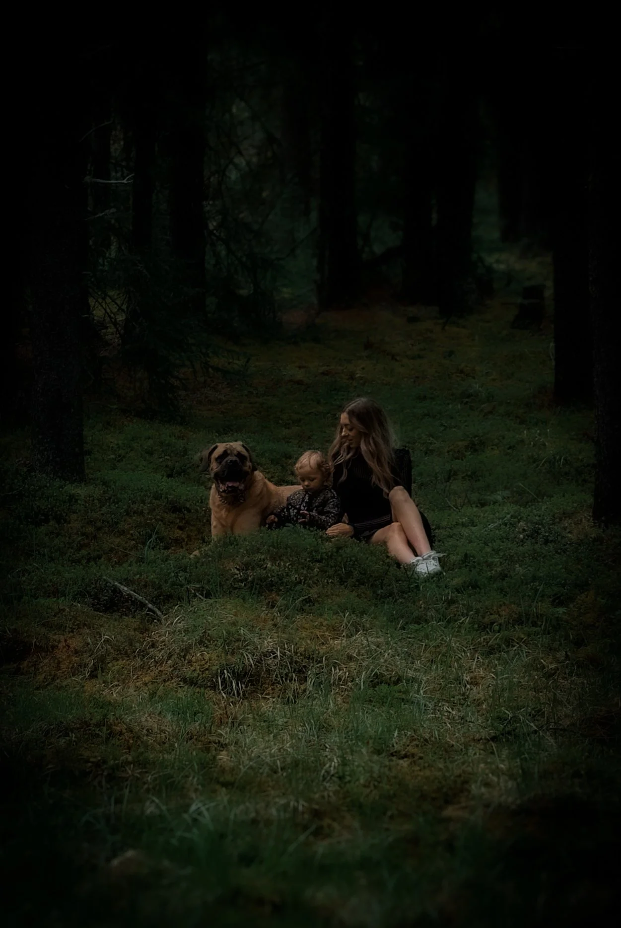 A woman, a young girl, and a large dog sitting on grass in a dark, dense forest.