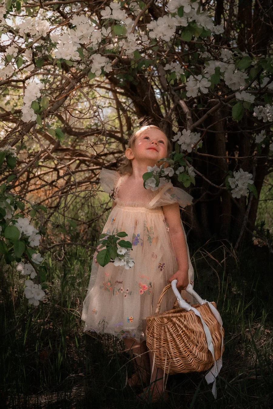 ethereal family photos located in Airdire, AB
