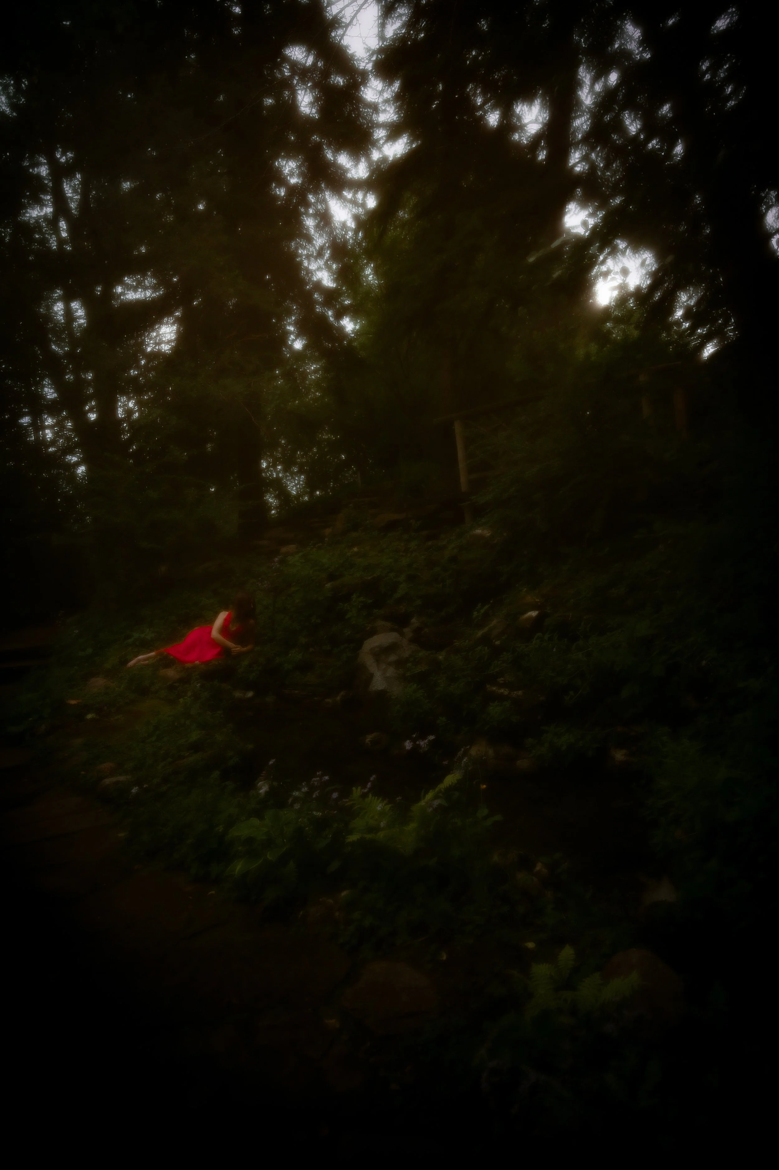A young girl in a red dress lying on a mossy, rocky slope in a dense forest with tall trees and overcast sky.