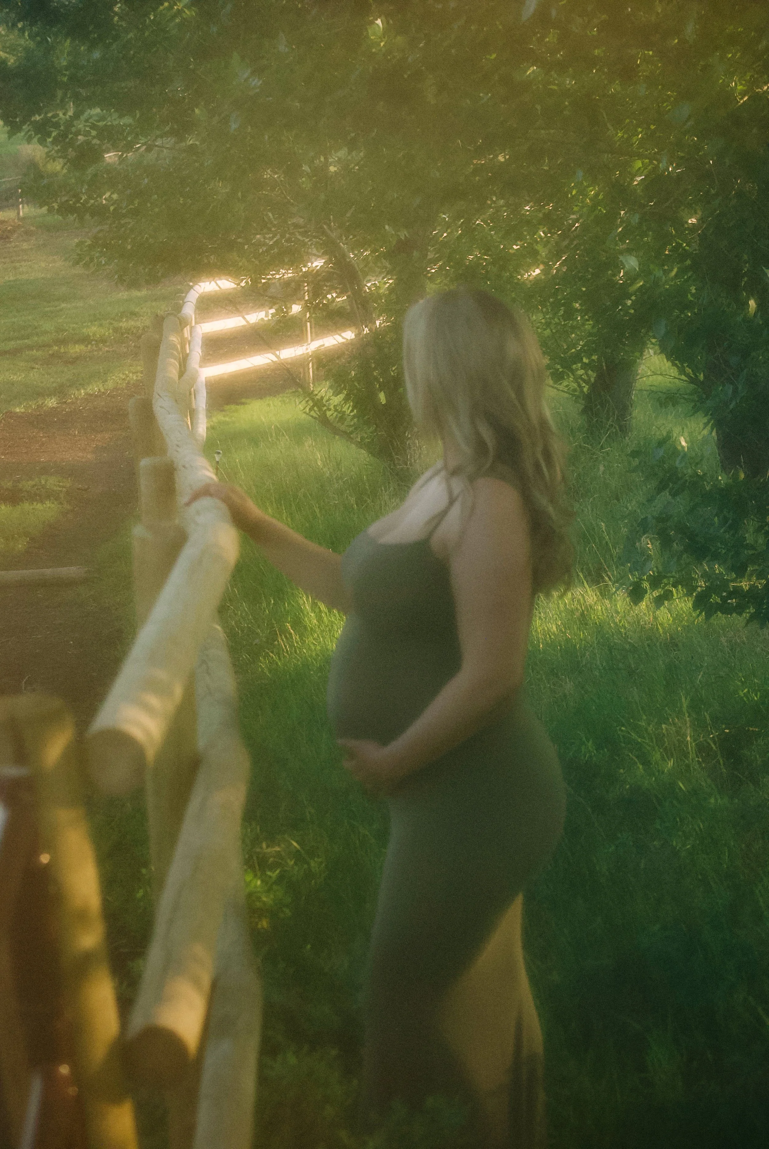 Pregnant woman in a black dress gently touching a wooden fence, standing outdoors amidst lush green grass and trees, during what appears to be late afternoon or early evening sunlight.