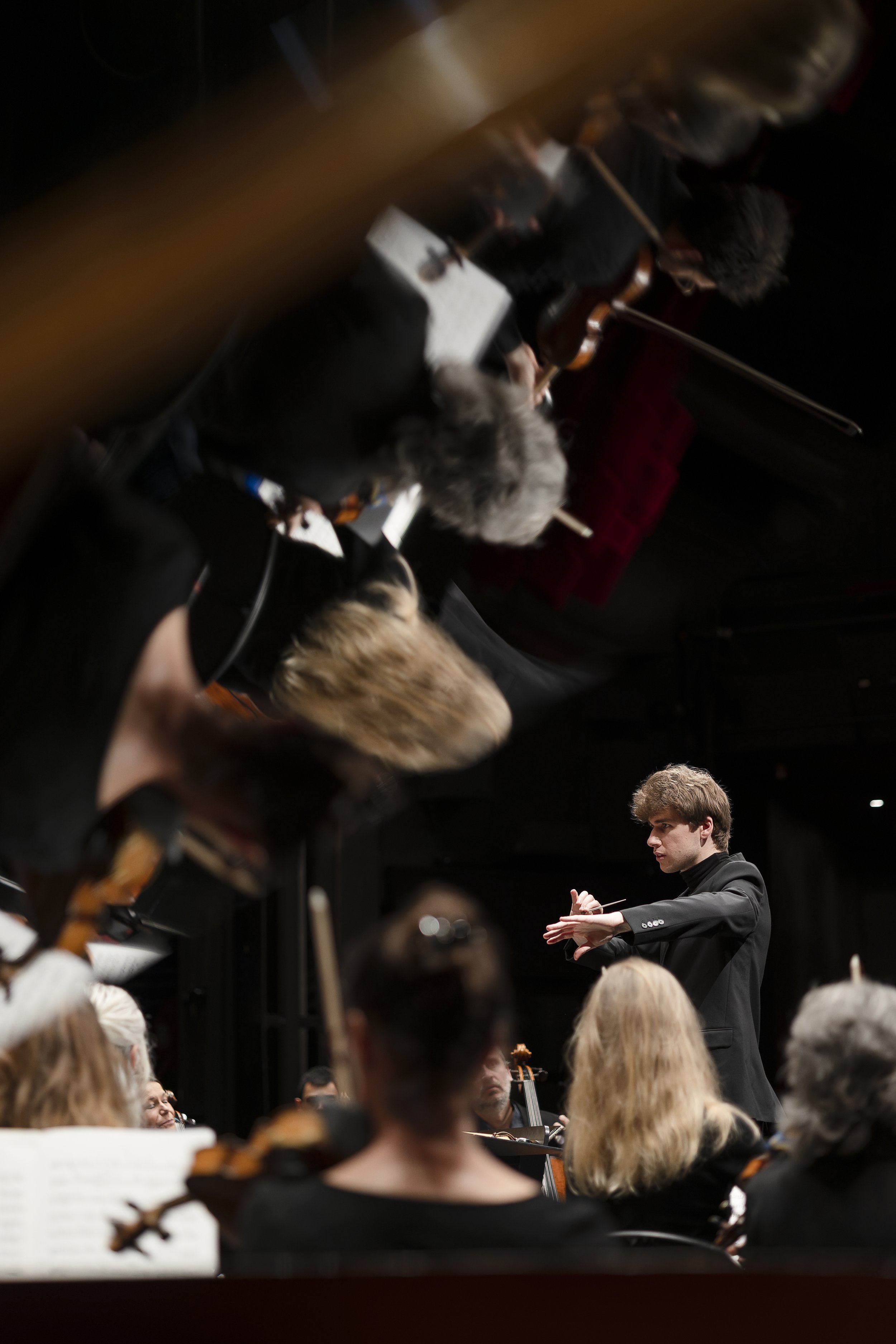 Swann van Rechem GALLERY (6).JPG