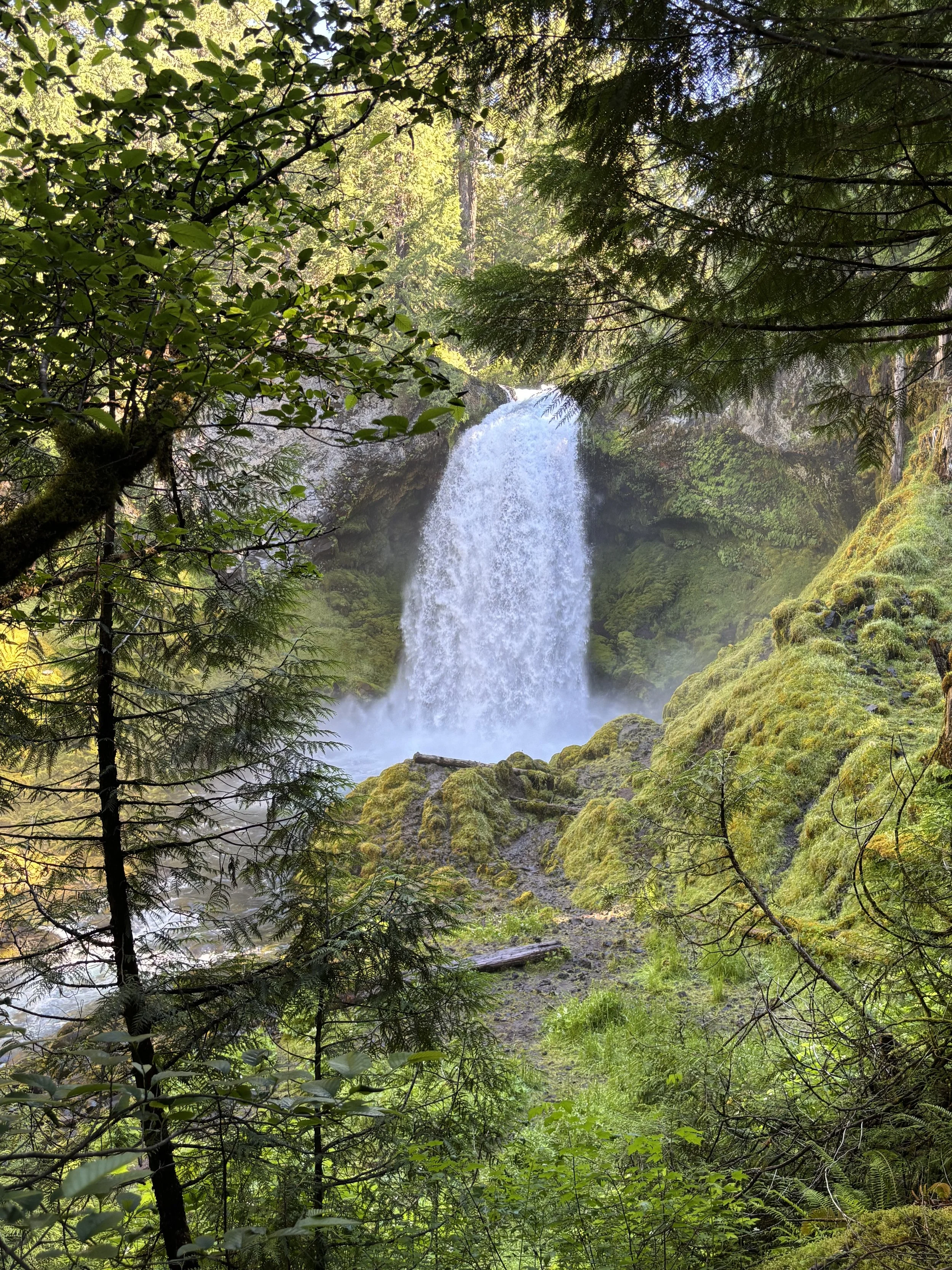 Sahalie Falls: A beautiful waterfall in Oregon