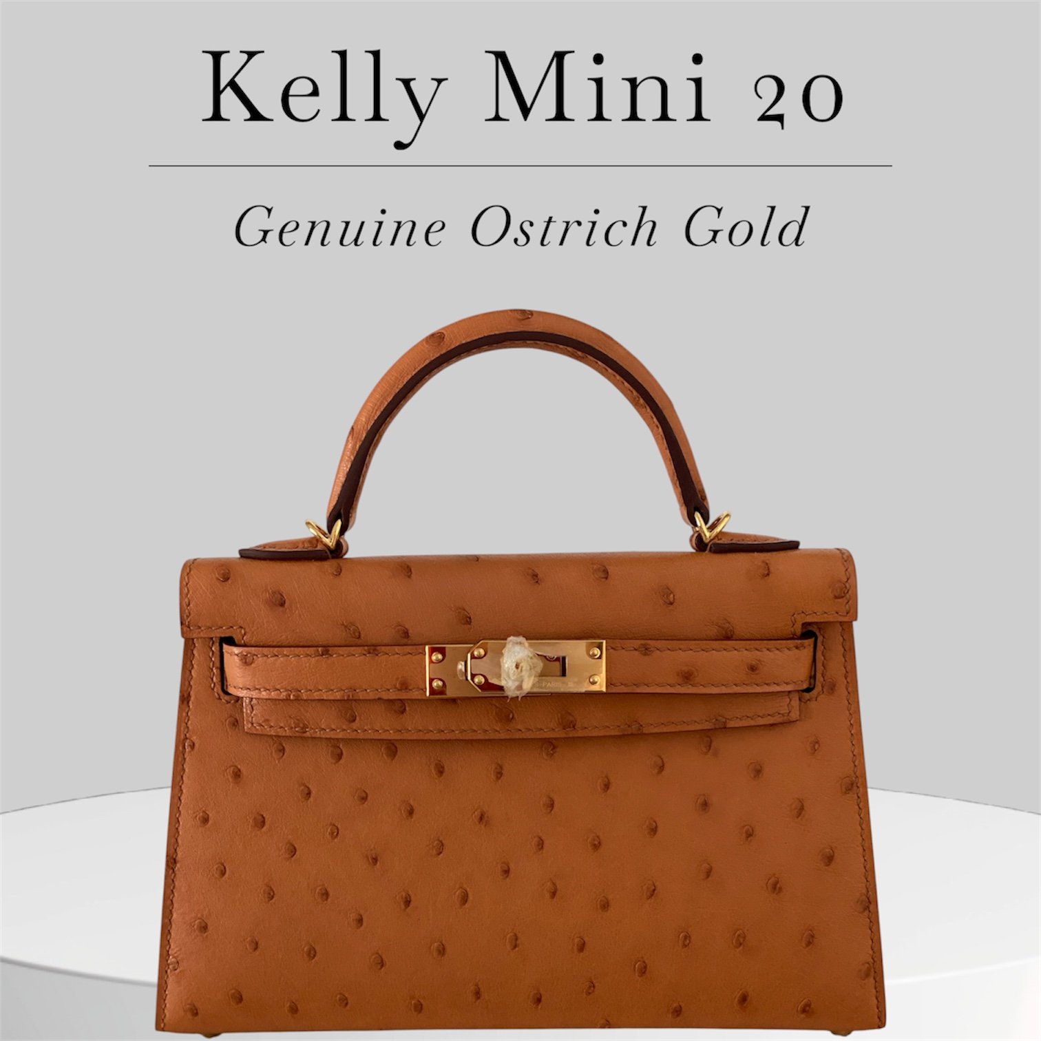 Kelly Mini 20 in Gold. Genuine Ostrich skin with gold hardware and strap