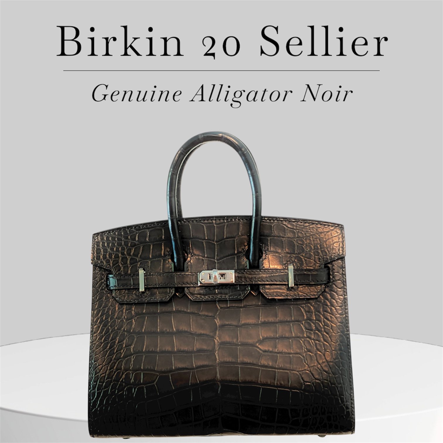 Birkin 20 Sellier in Noir. Genuine Matte alligator skin with silver hardware.