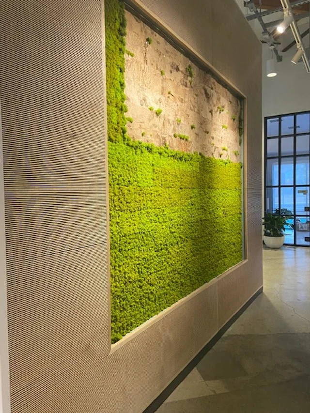 Biophilic acoustic feature wall combining moss and textured panels for sound control and design impact