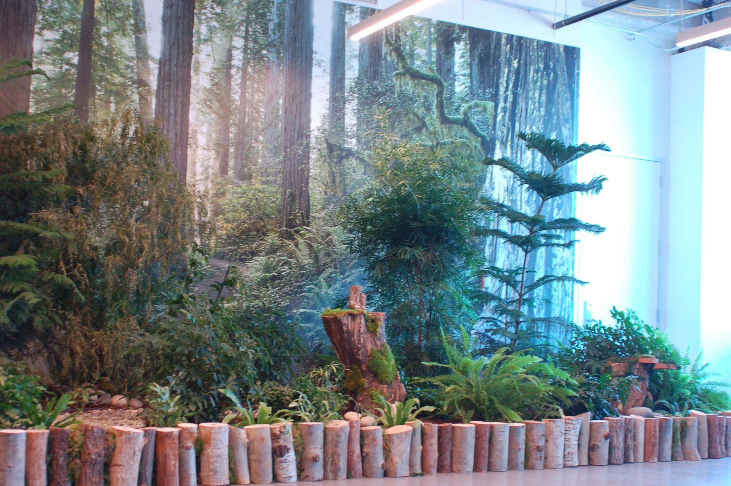 Forest landscape mural wallcovering bringing biophilic design and nature imagery into an office environment.