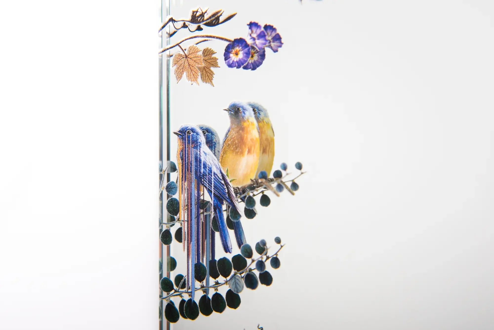 Botanical graphics printed directly on architectural glass for decorative interior applications.