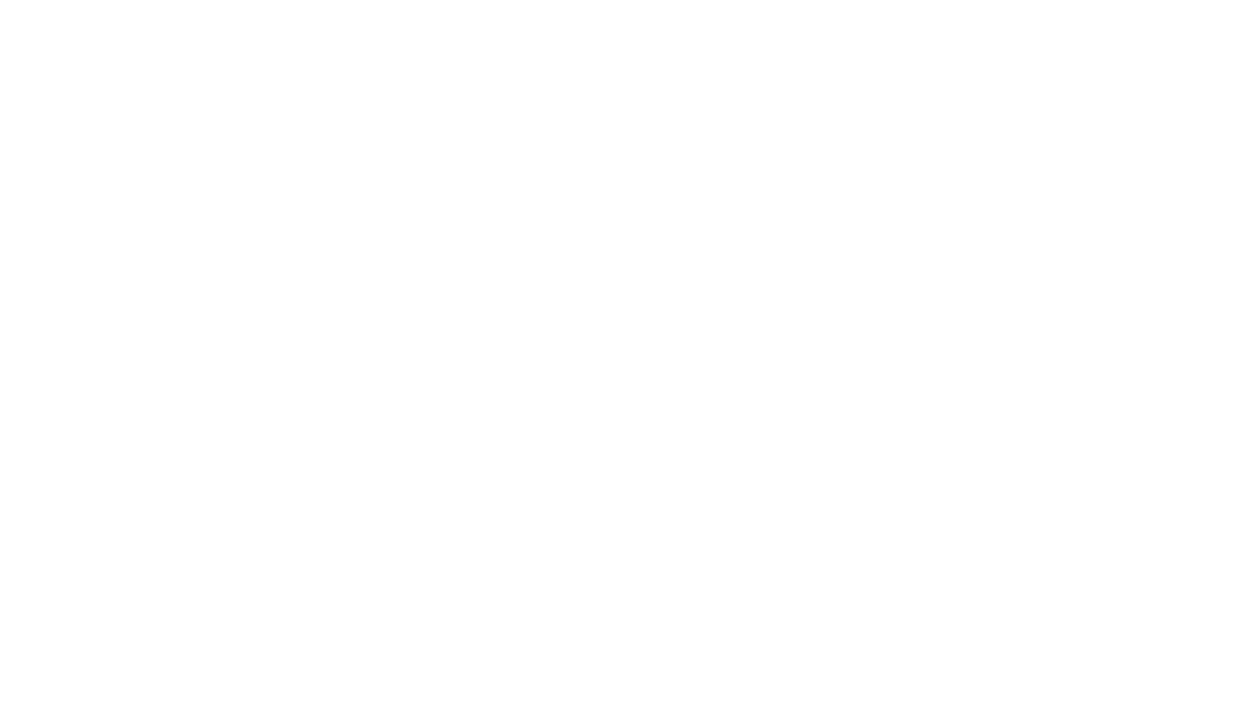 Netgear company logo