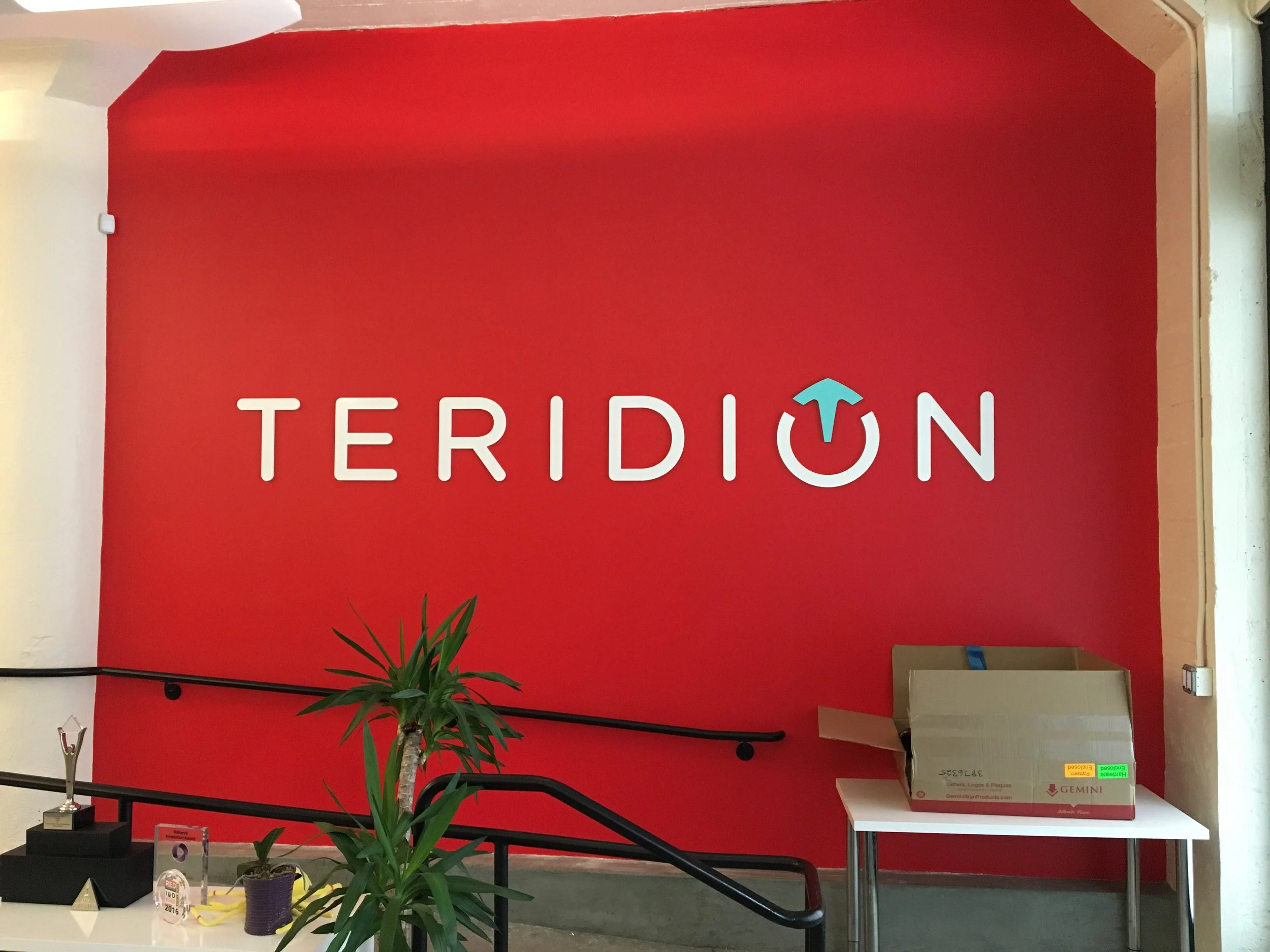 Dimensional Teridion lobby logo signage installed on feature wall to reinforce brand identity in corporate office environment
