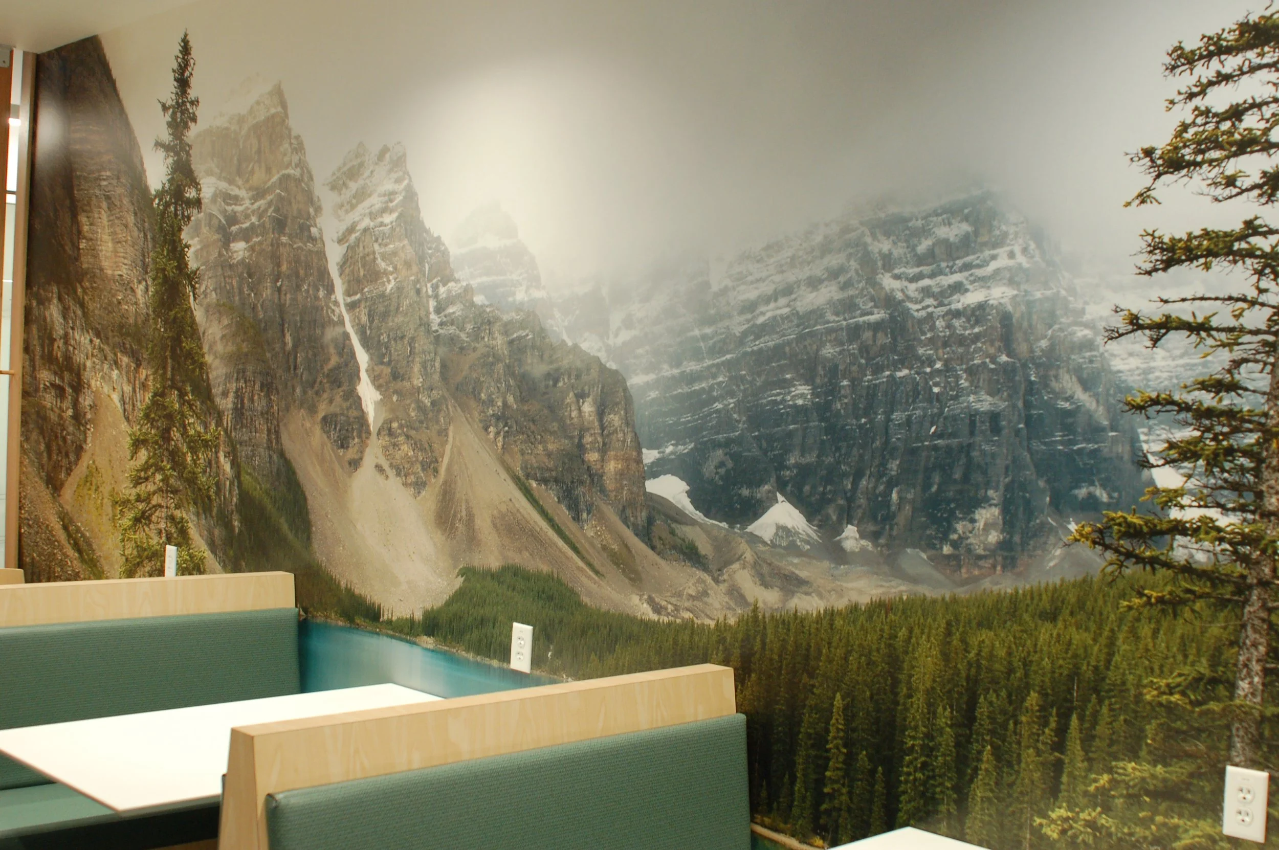 Mountain landscape mural wallcovering designed to create a calming, scenic office or hospitality environment.
