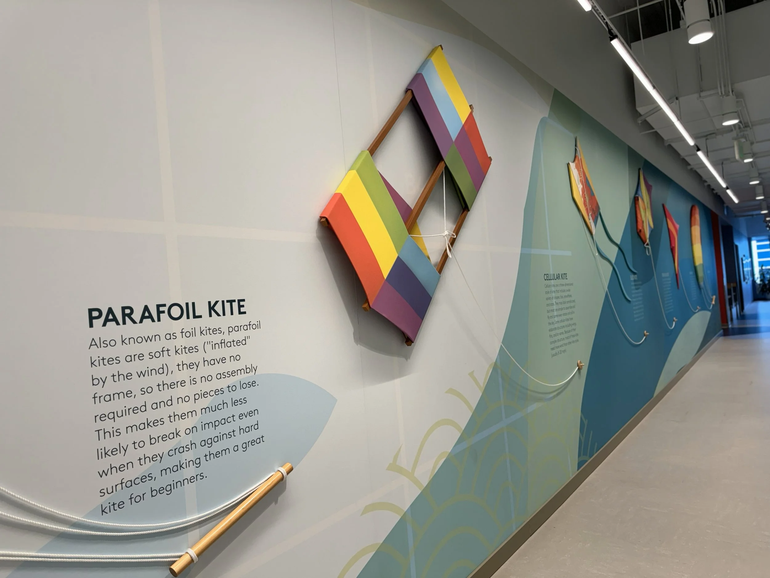 Installed large-format wall graphics with bold color elements in modern corporate interior environment.