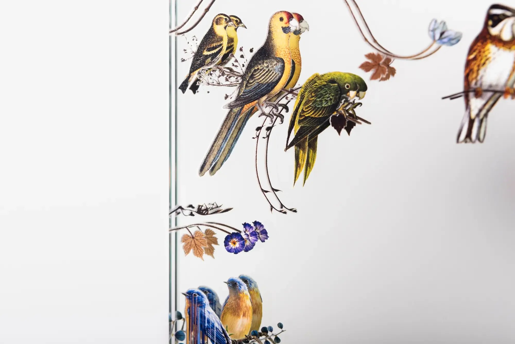 Decorative bird artwork printed directly on glass using high-resolution UV glass printing by JP Digital.