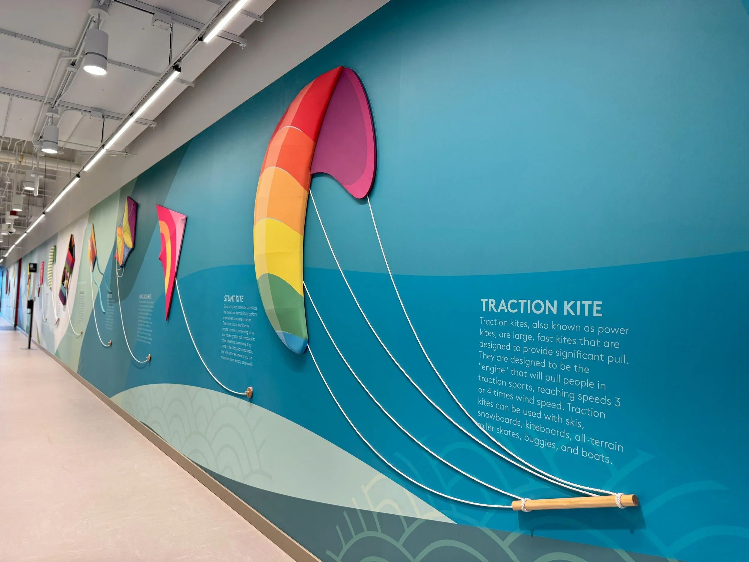 Vibrant custom wall mural and environmental graphics installed in workplace corridor for corporate branding and visual impact.
