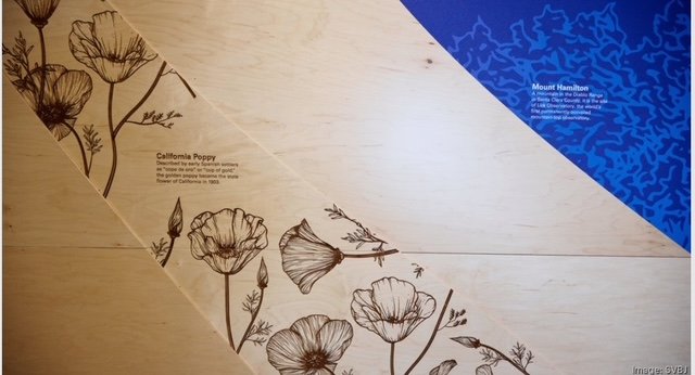 Custom environmental graphics and botanical illustrations printed on architectural wood panels for feature wall installation at the KPMG San Jose office.