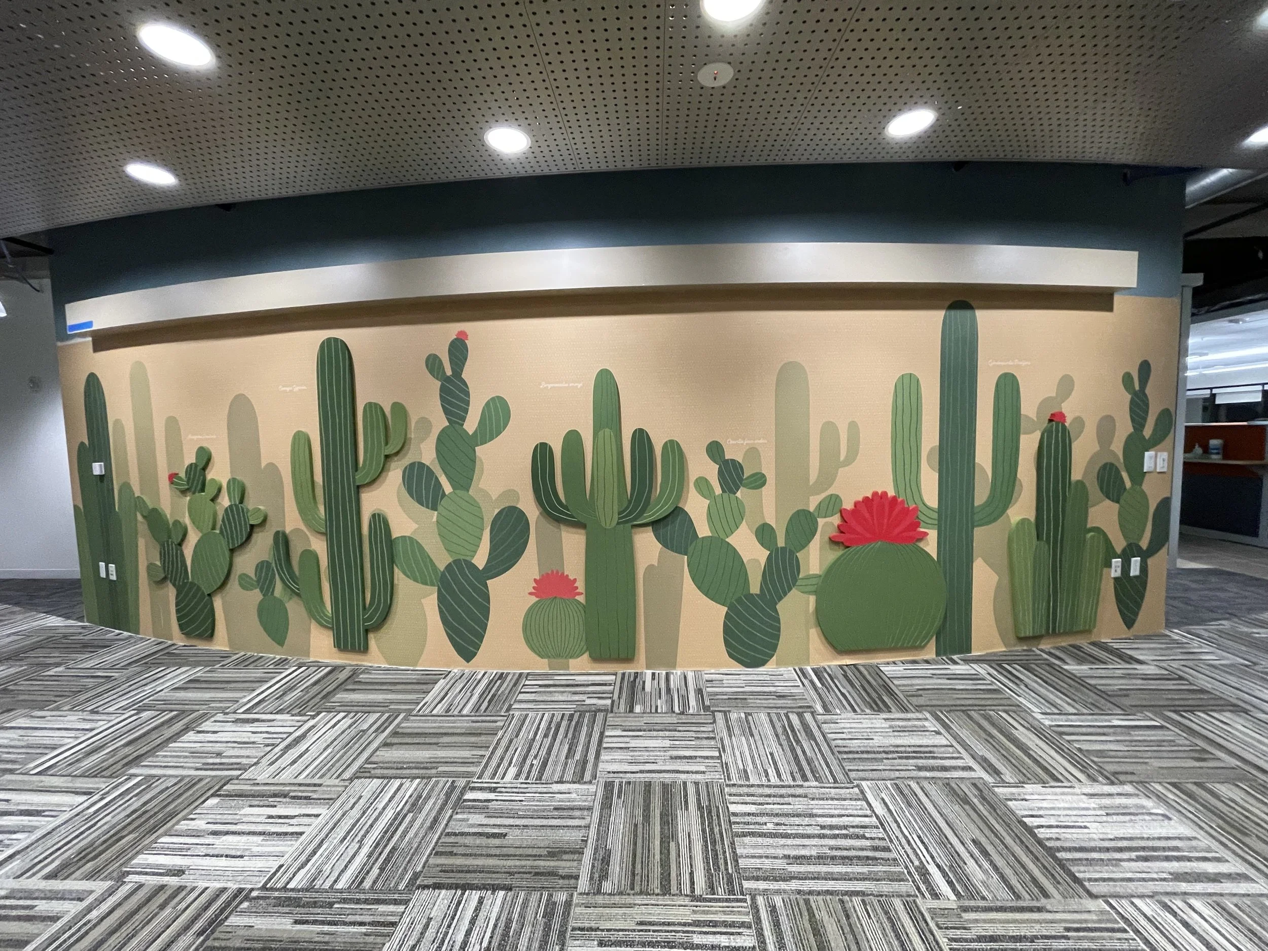 Panoramic view of curved cactus-themed wallcovering with dimensional Sintra elements installed at Amazon SJC3 office in Cupertino, California by JP Digital.
