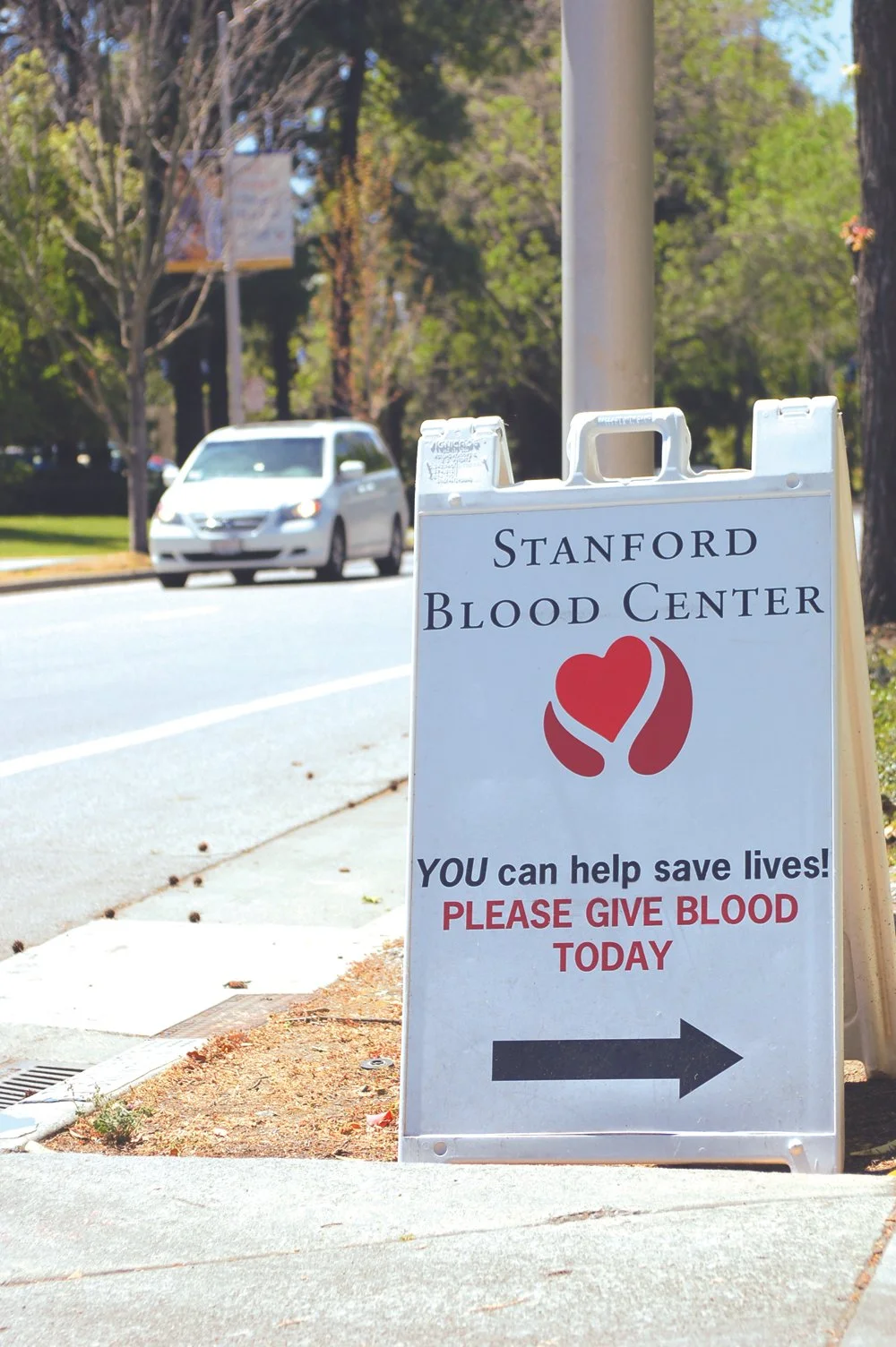 Temporary directional signage 