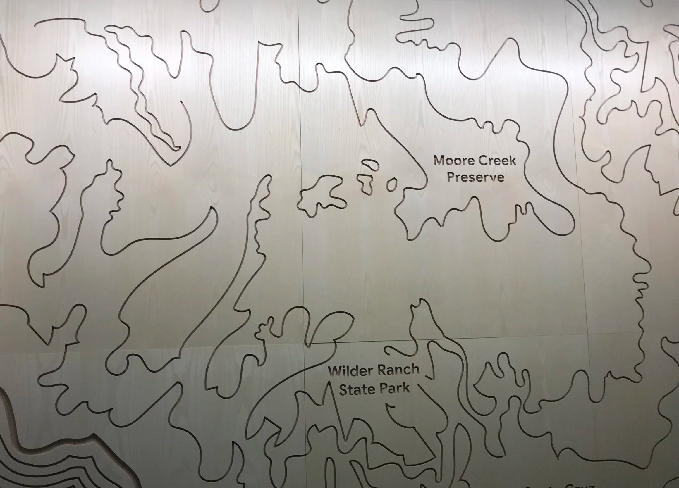 Custom topographic map feature wall at Google Santa Cruz, showcasing precision-etched contour graphics that create a dimensional environmental branding element.