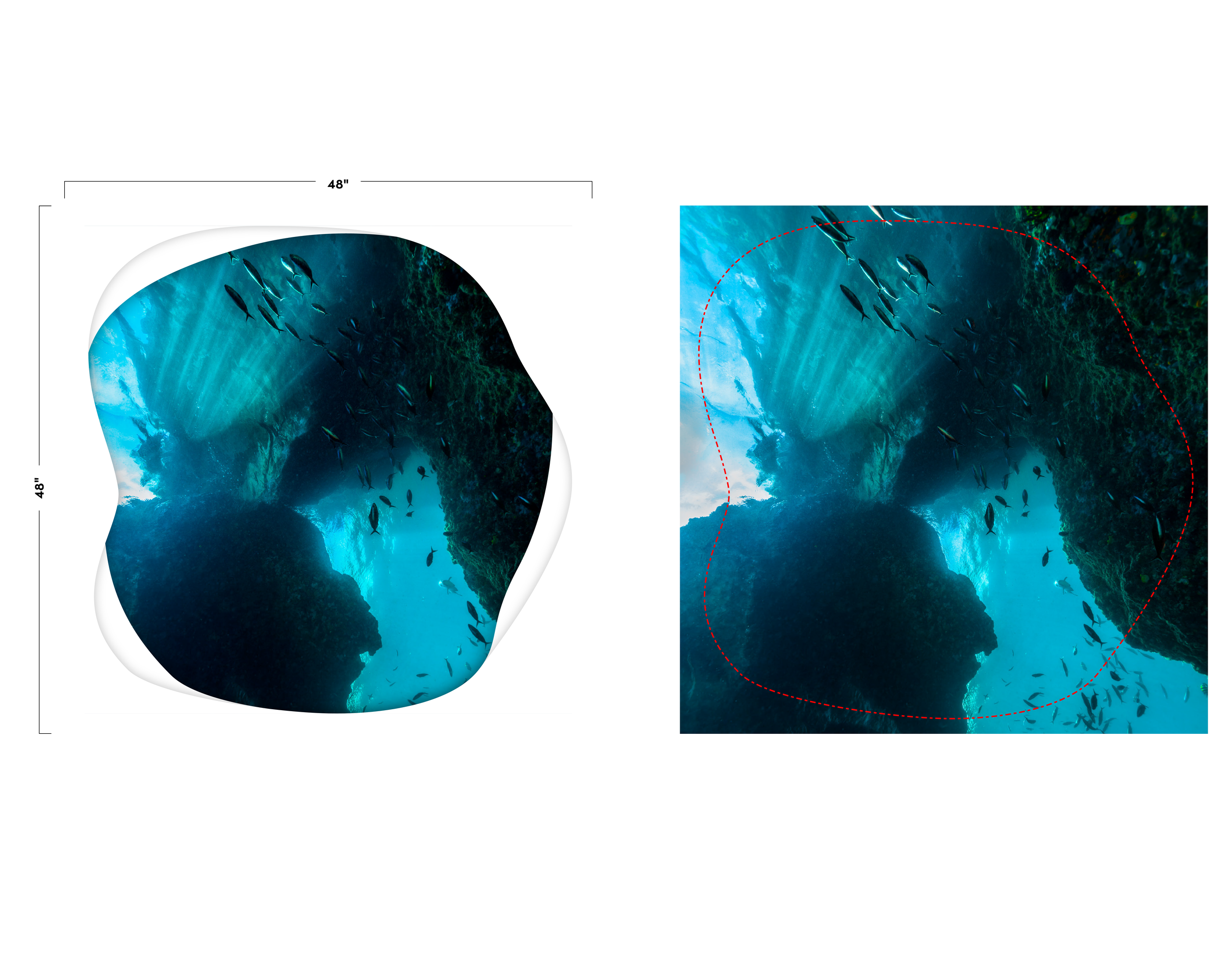 Color design proof for UCSF Stad Center sea-life wallcovering showing underwater graphics for a pediatric healing environment.