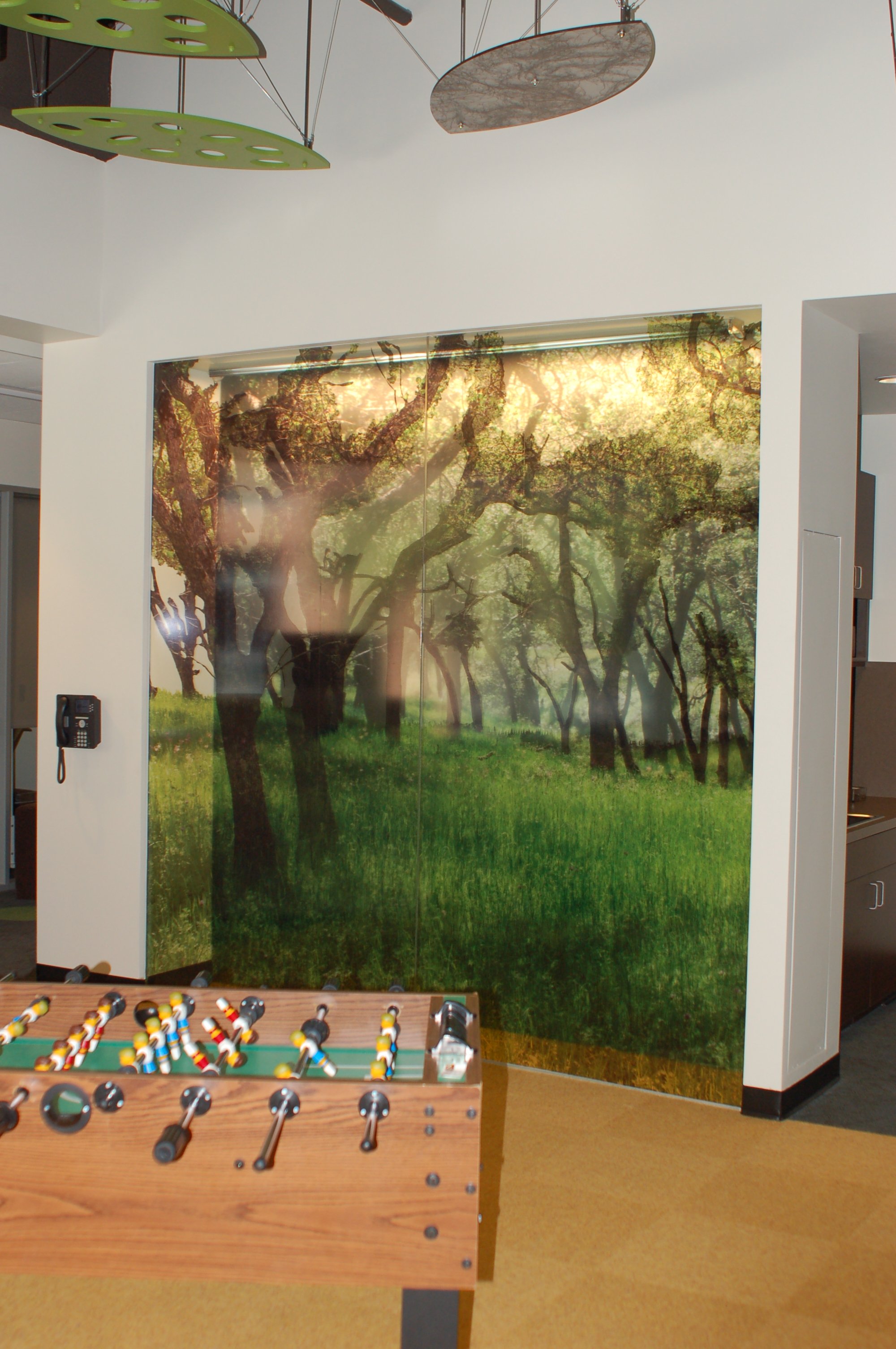 Forest pathway mural wallcovering installed at an entry to create an immersive nature-inspired feature wall.
