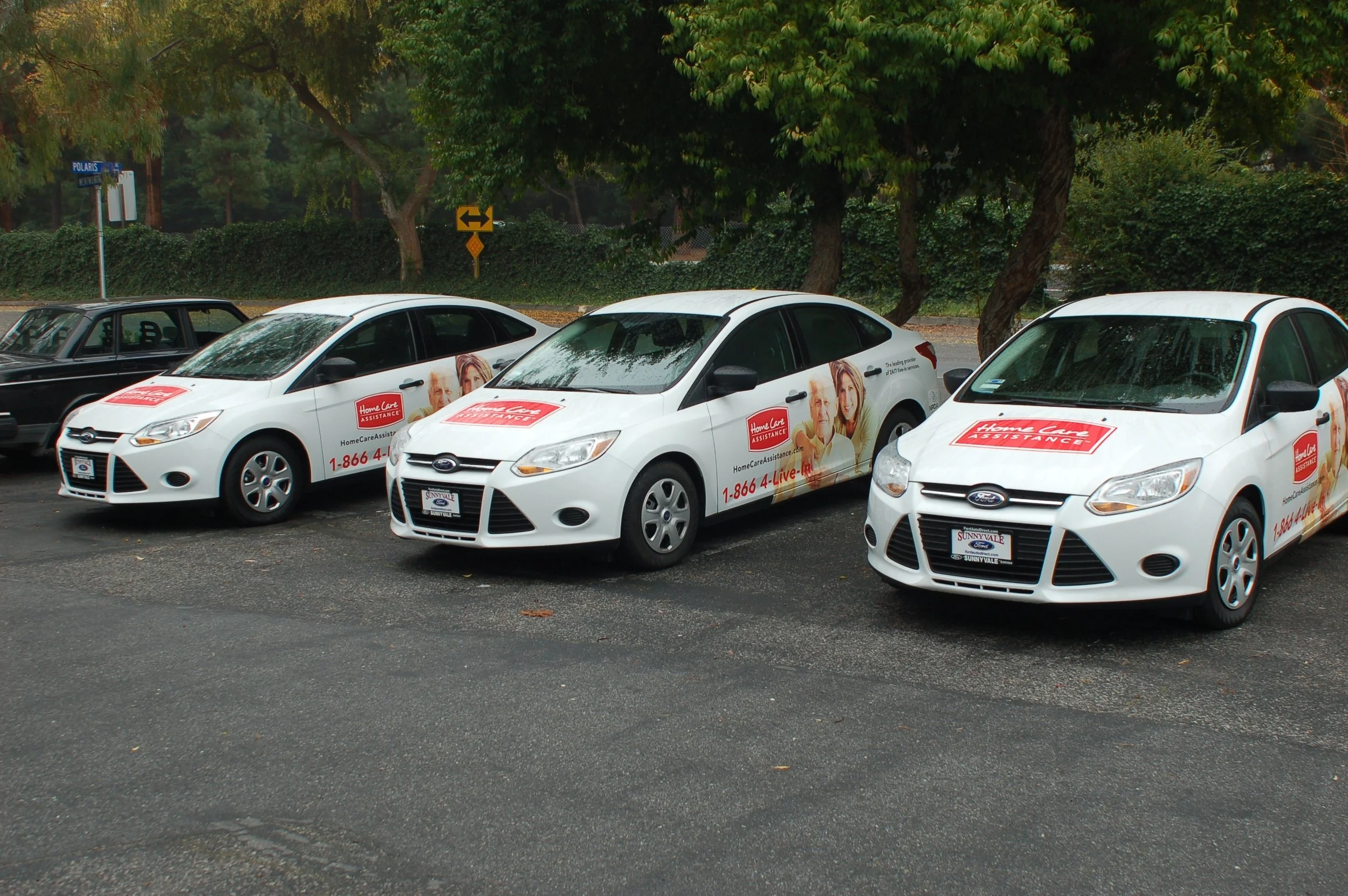 Corporate fleet graphics installed on multiple vehicles for unified brand visibility on the road.