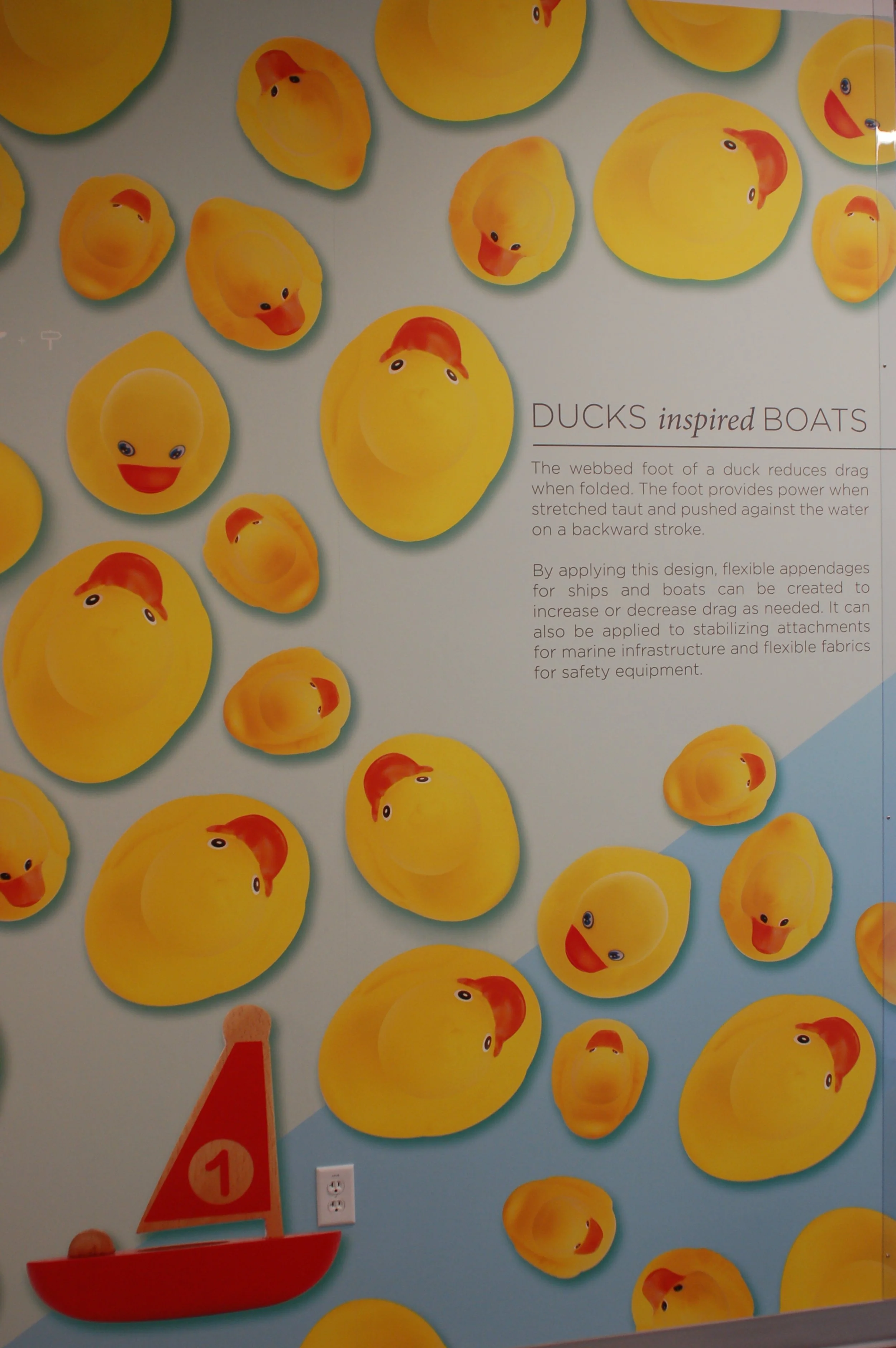 Bright patterned duck wallcovering adding playful visual impact to a creative or collaborative workspace.