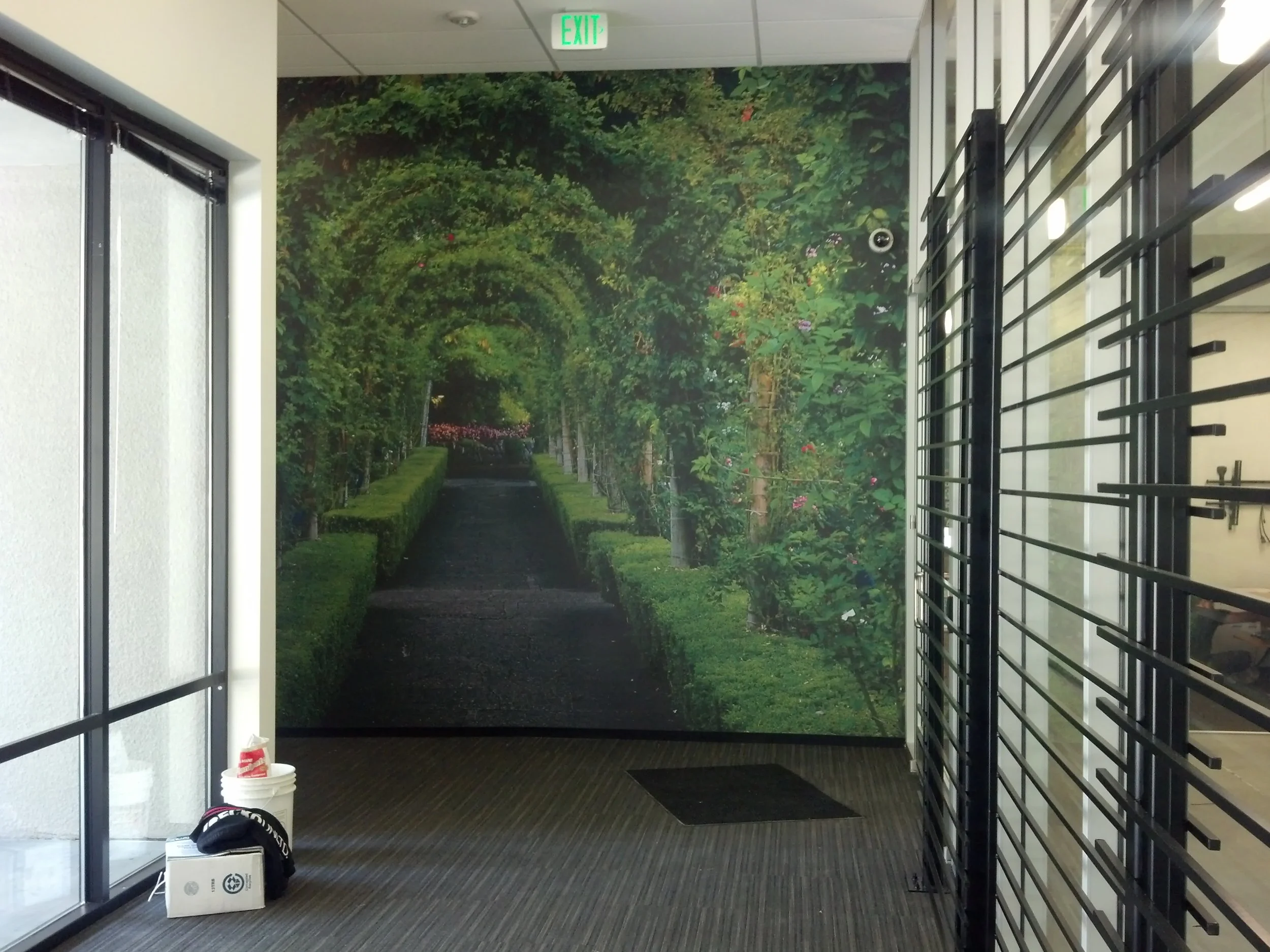 Nature pathway mural wallcovering creating an immersive biophilic feature wall in an office environment.
