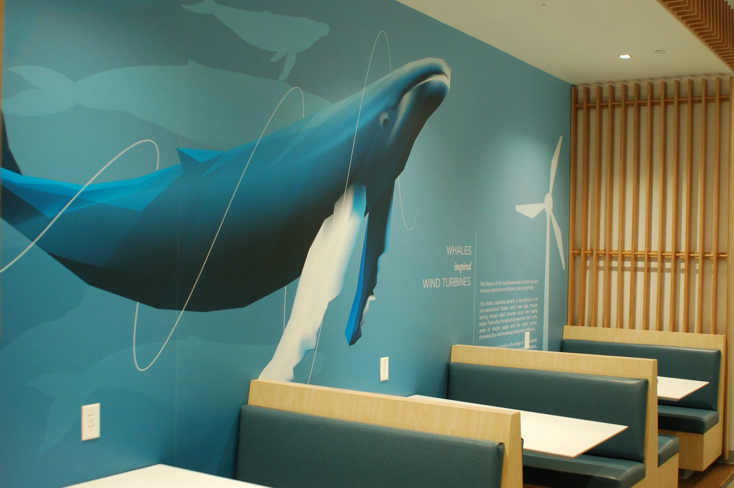 Whale-themed environmental wall graphic designed to enhance a themed or wellness-focused interior space.