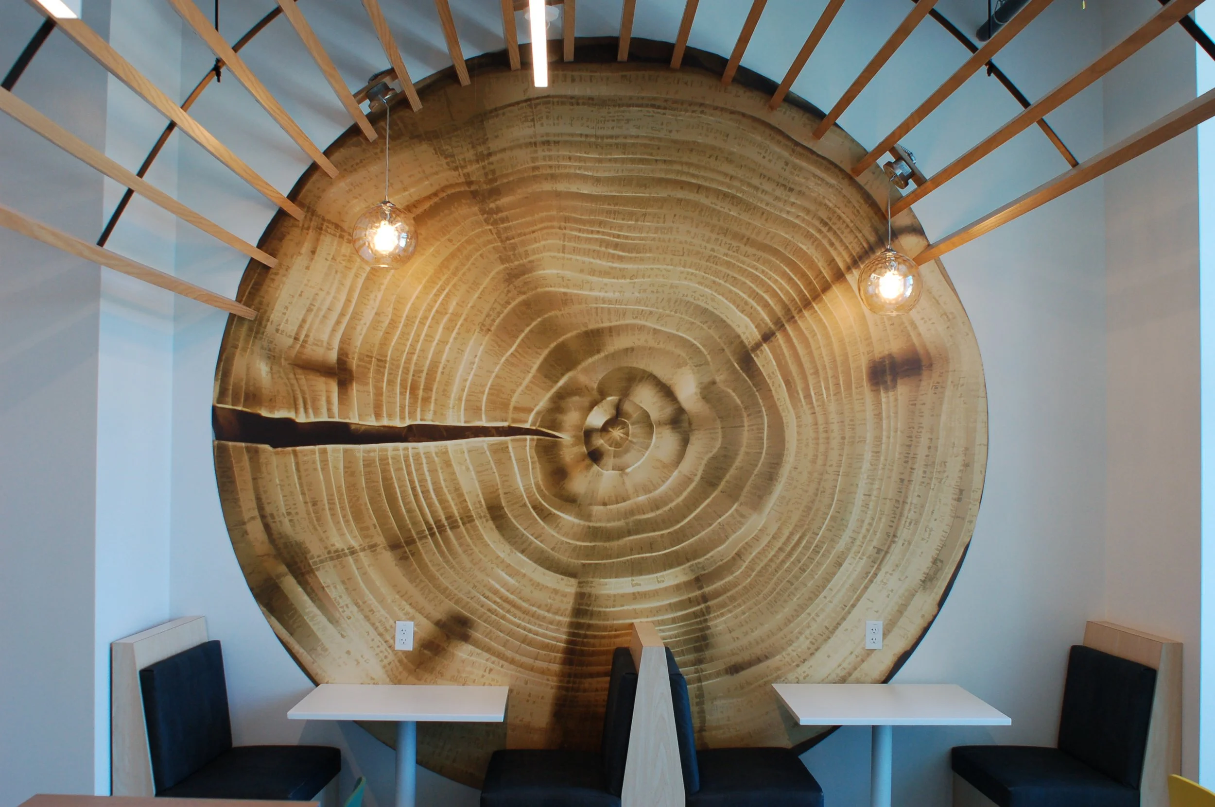 Circular wood-inspired wallcovering installed as a statement feature wall in a commercial interior.