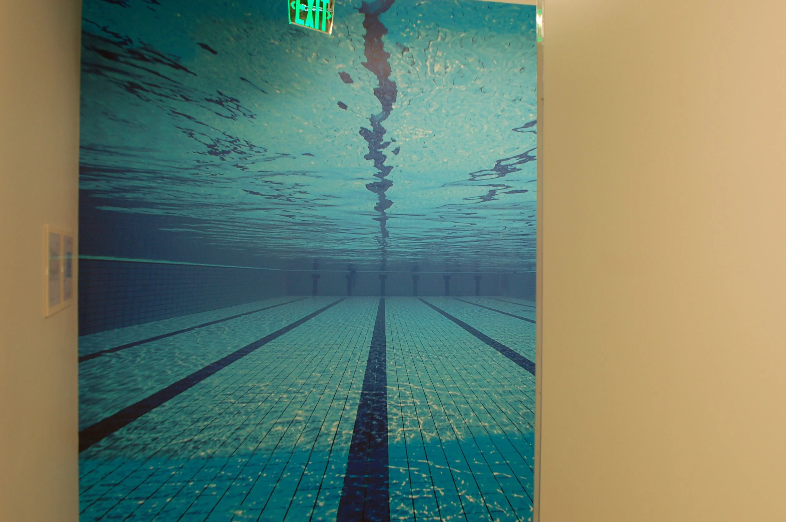 Swimming pool underwater mural wallcovering designed for aquatic facilities or themed environments.