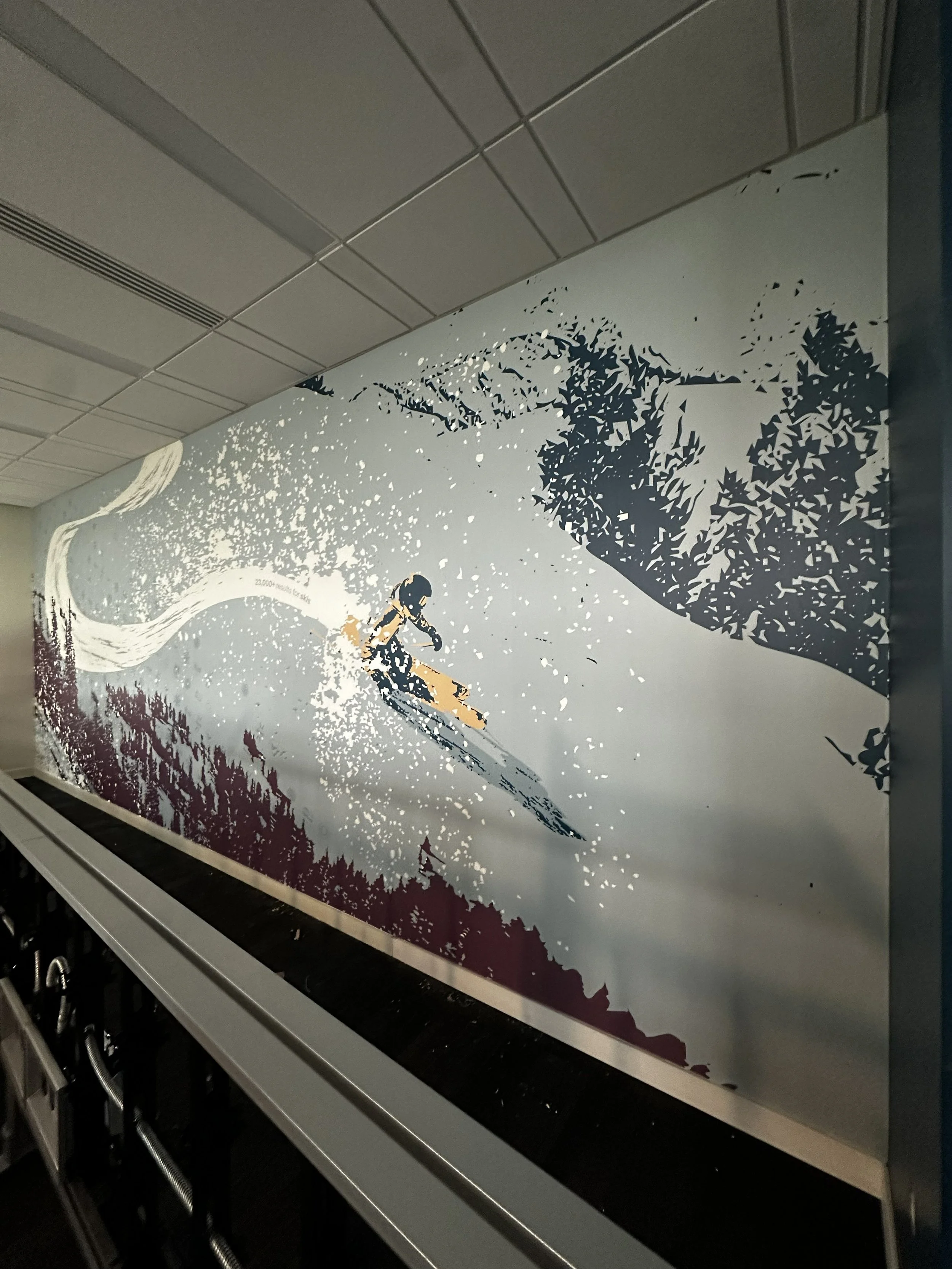 Installed custom Dreamscape Terralon wallcovering in eBay Salt Lake City hallway showing large-scale environmental graphic by JP Digital Imaging