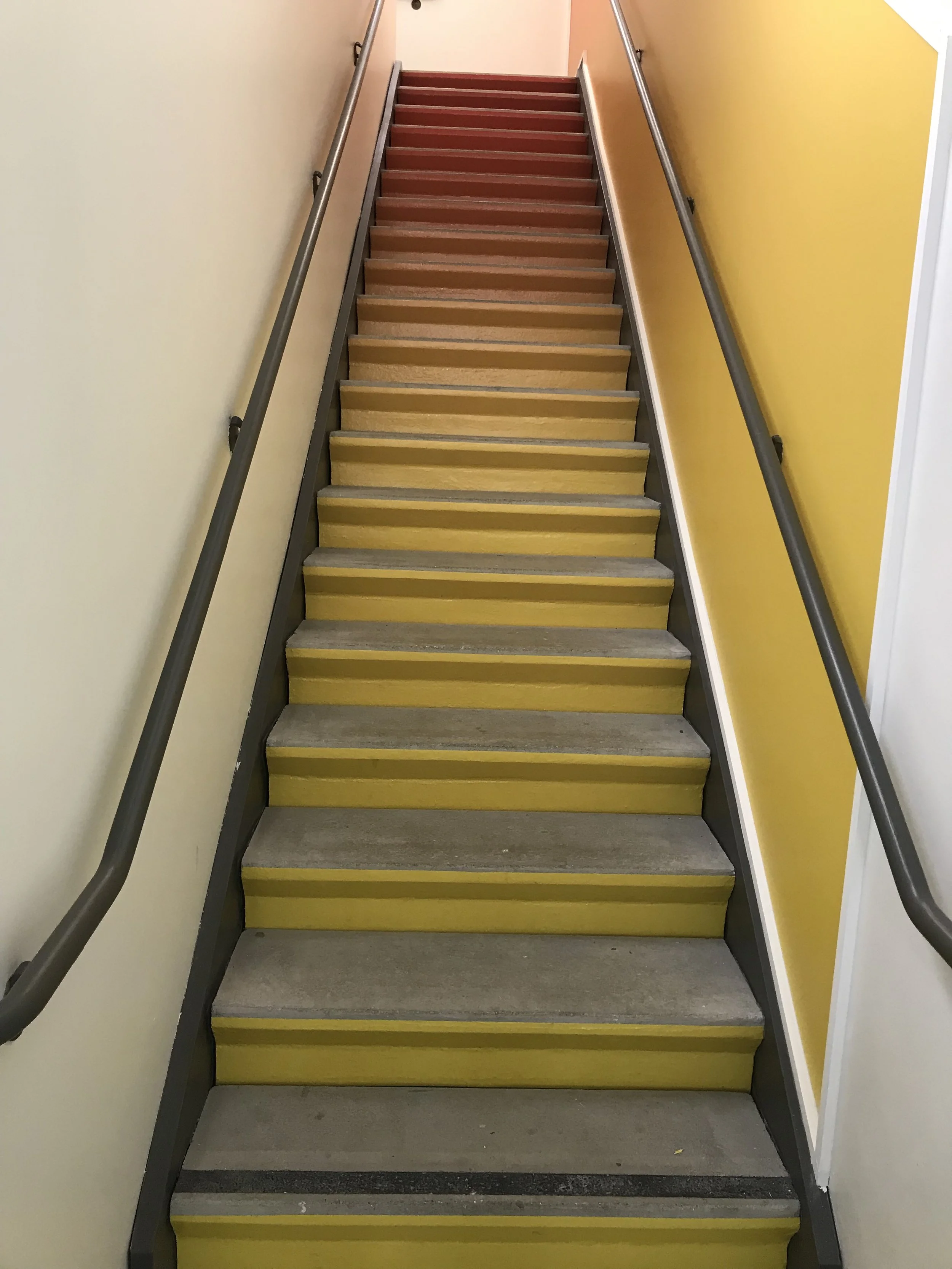 Full stair run featuring completed environmental graphics at Google Santa Cruz, creating a cohesive and visually engaging workplace experience.