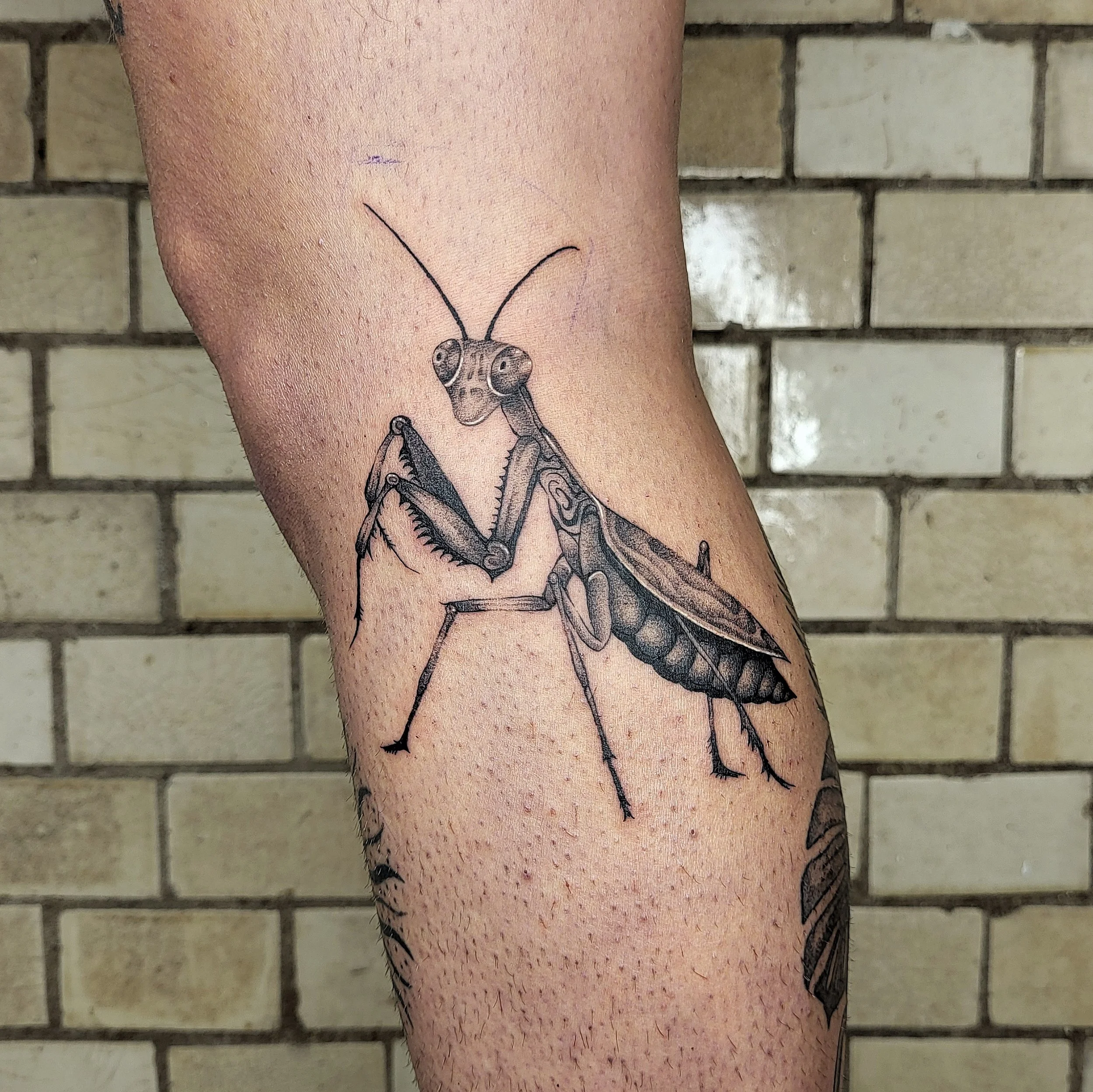 Tattoo eines Ameisenkopfs am Bein in Schwarz-Grün-Tönen