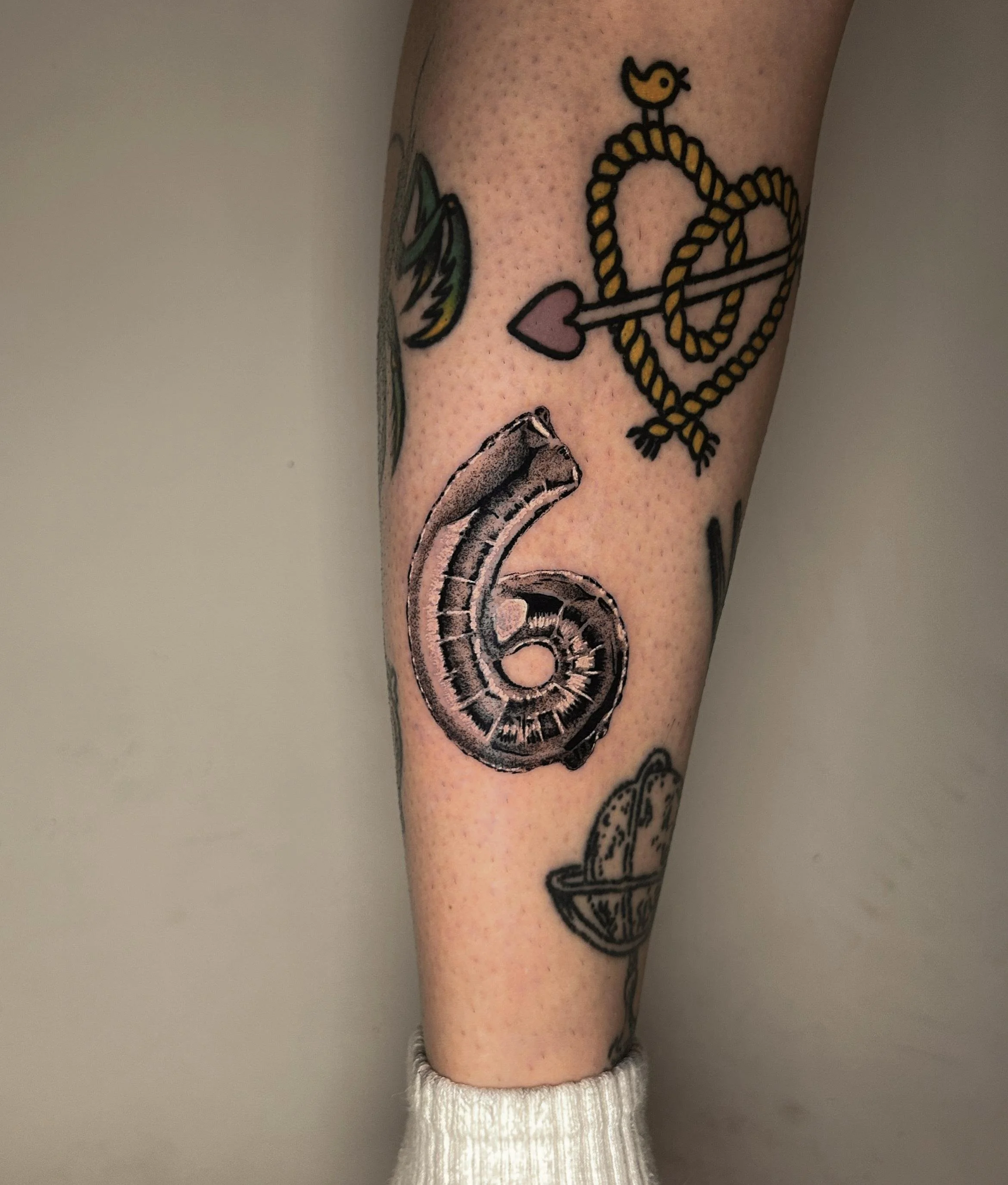 Tattoo eines Schneckenhauses auf dem Unterschenkel, umgeben von weiteren Tattoos.