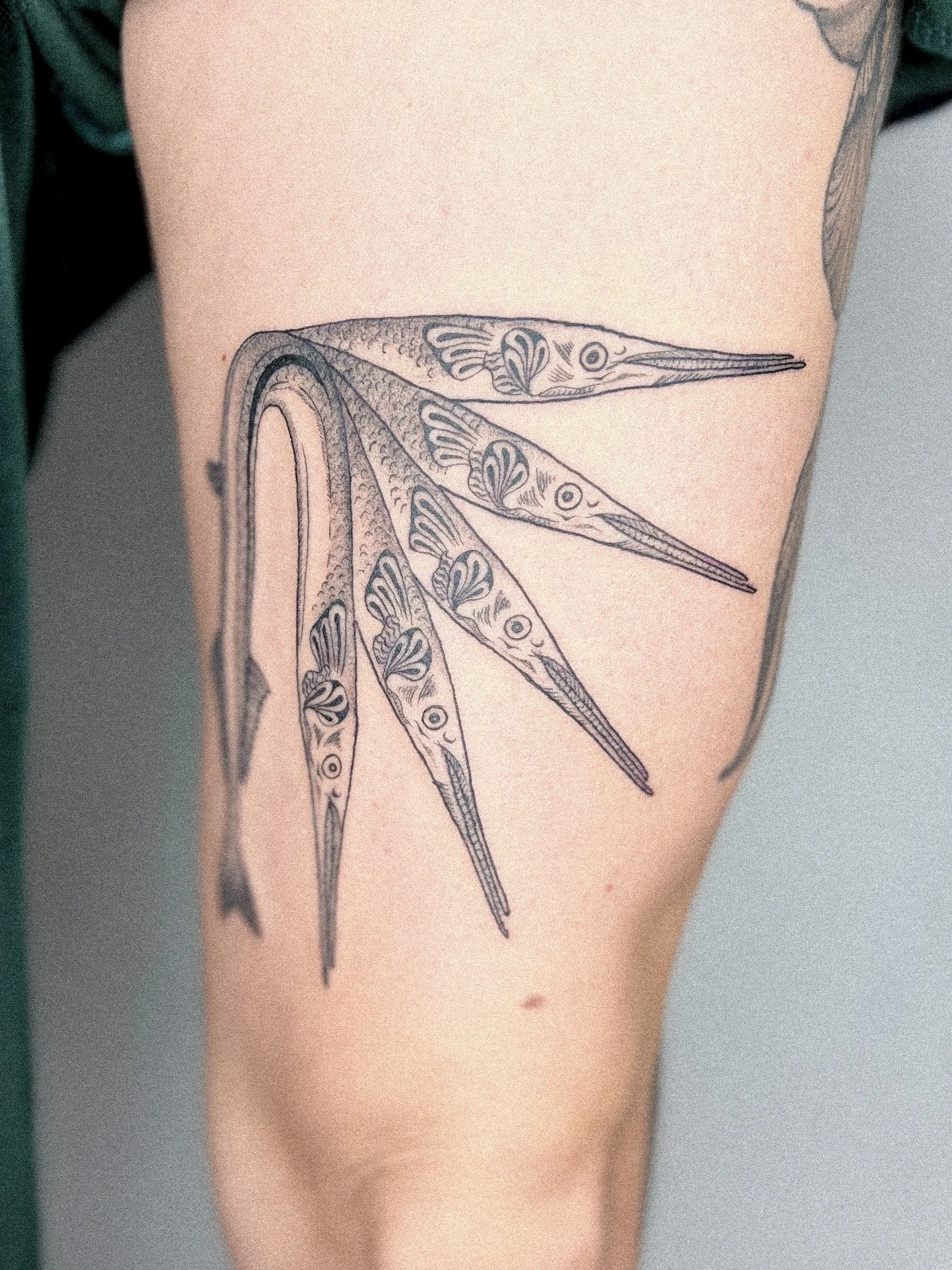 Tattoo eines maritimen Designs mit mehreren langen, schmalen, schnabelartigen Formen auf der Haut eines Arms.