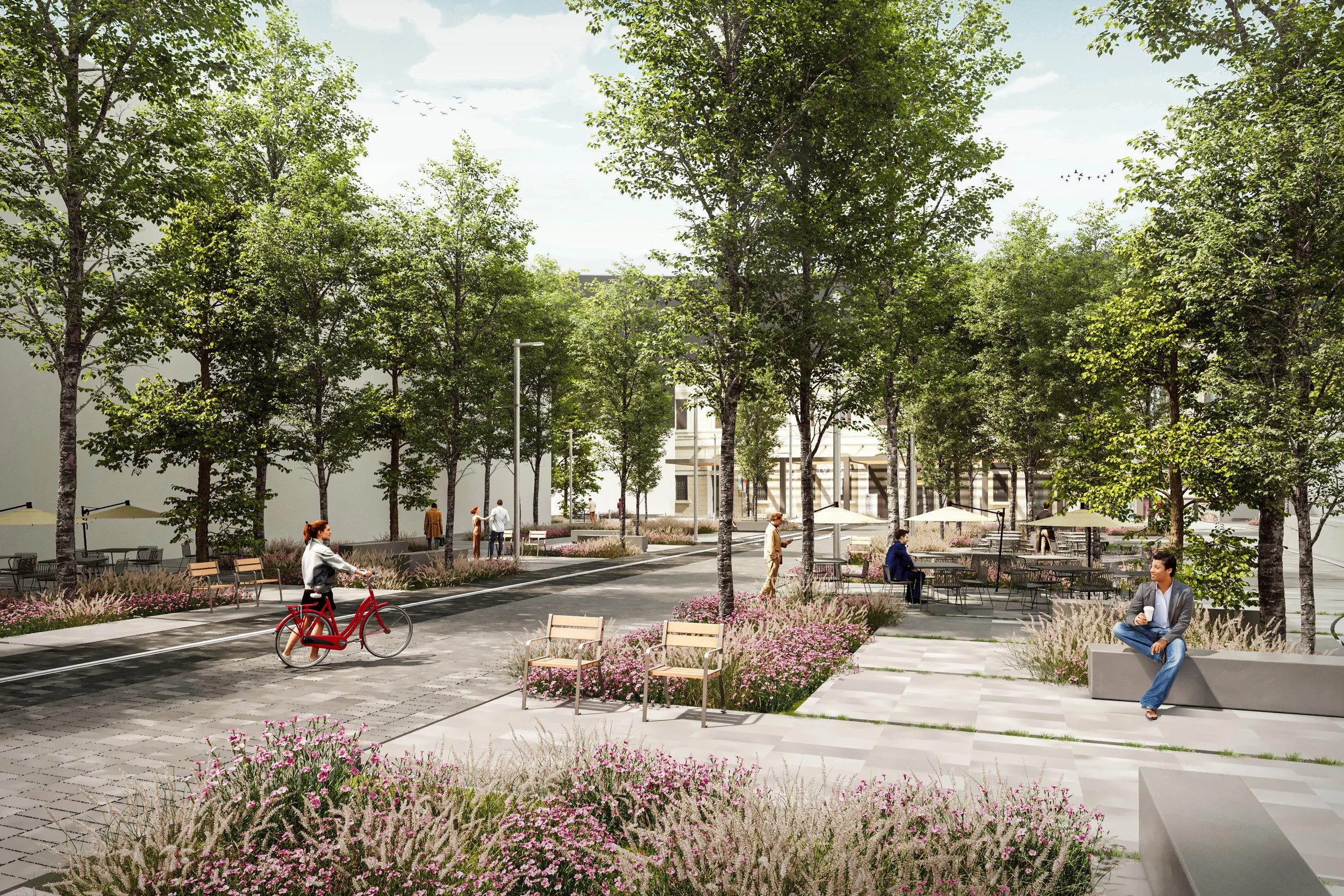 cam pedestre 01 copiar.jpg