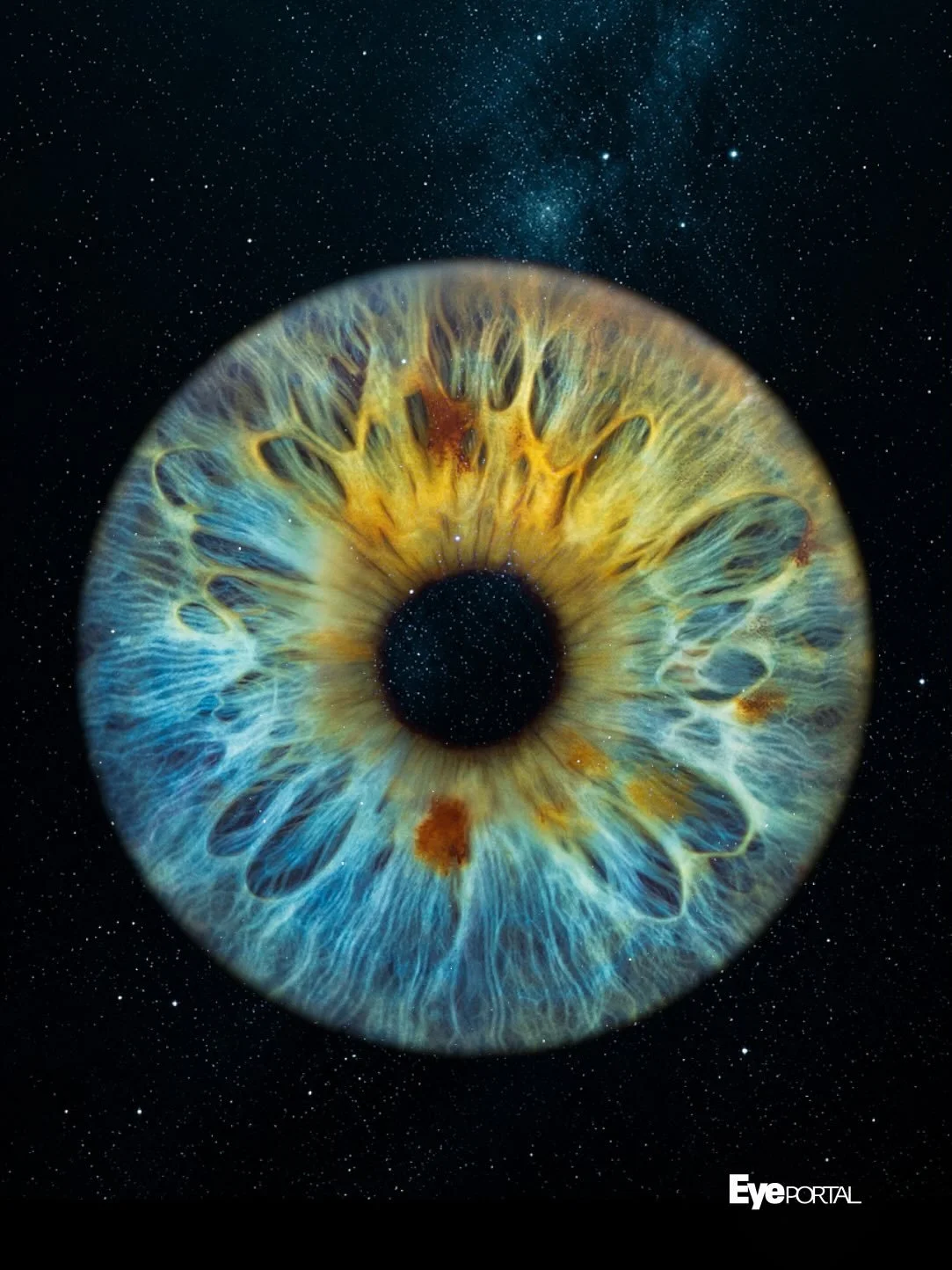 One iris. Infinite detail. 🌌

There&rsquo;s an entire landscape inside your eye.
Most people never get to see it like this.

We photograph it close enough that it stops people in their tracks. 
Close enough that you finally understand what&rsquo;s b