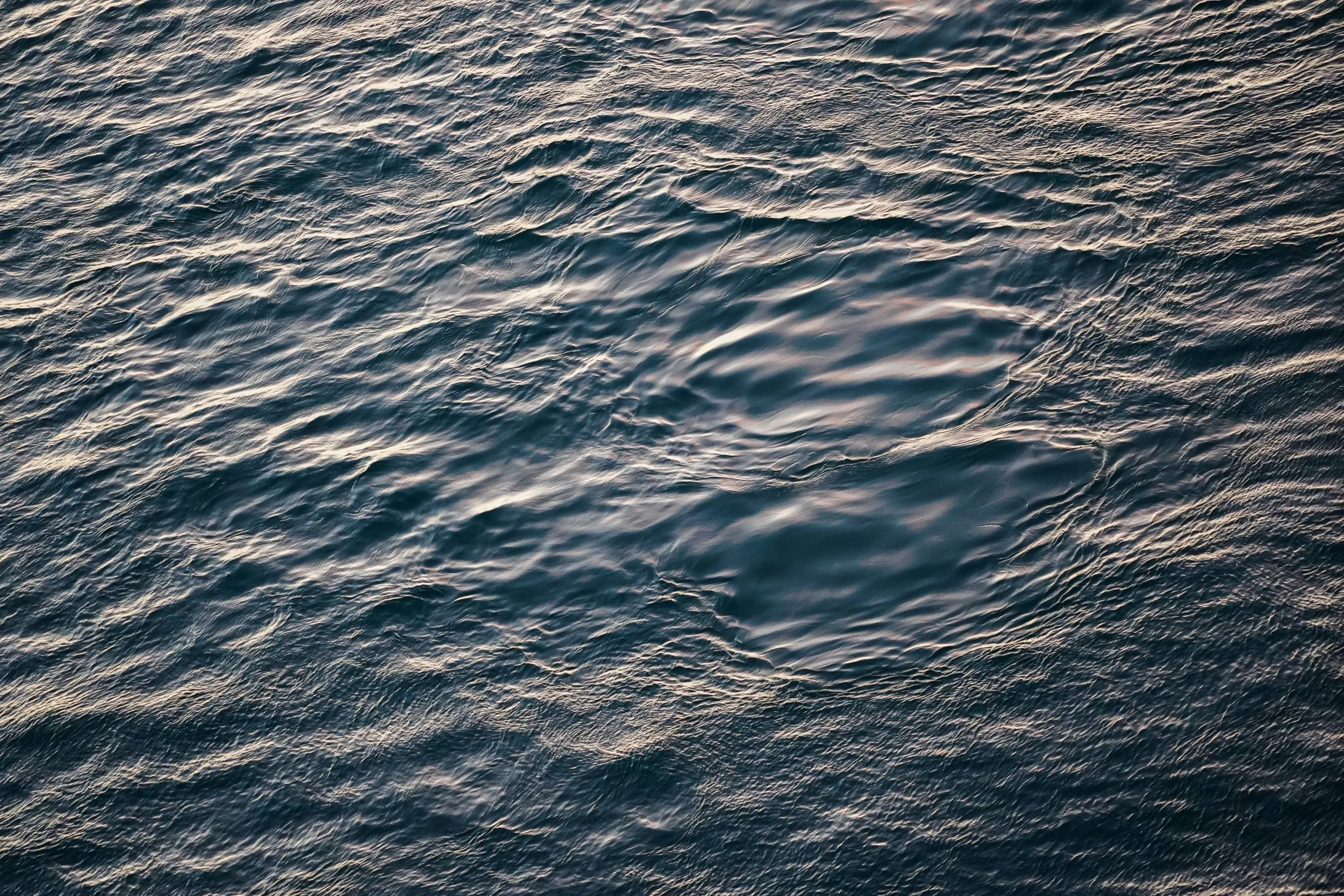 DSC02961-2.jpg