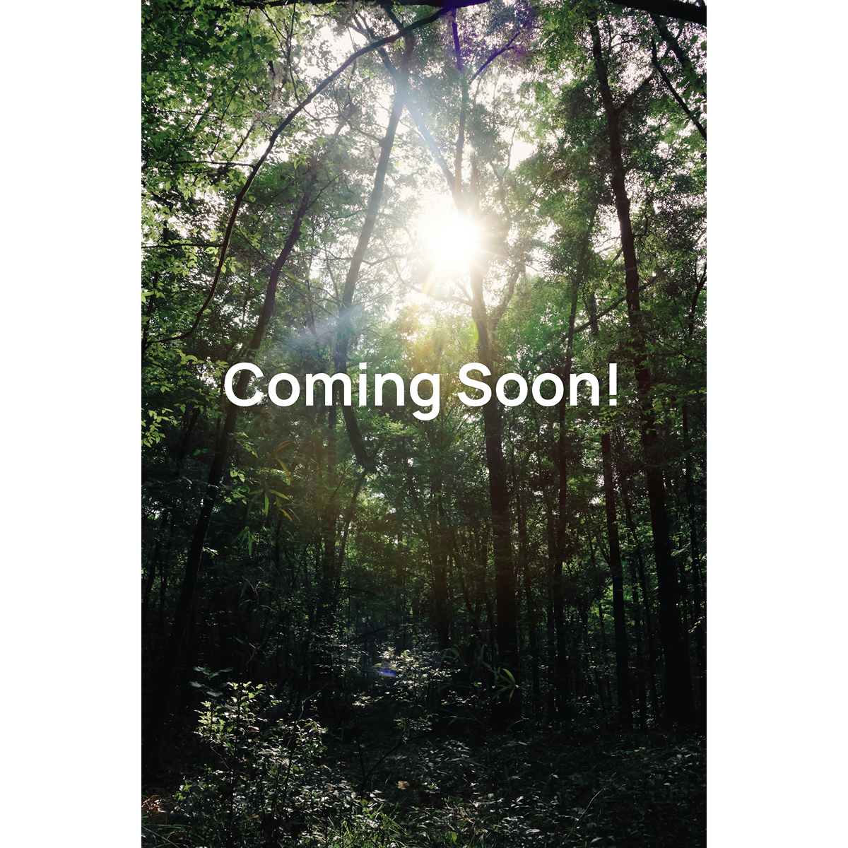 Hudson, FL- Waterfront/Canal