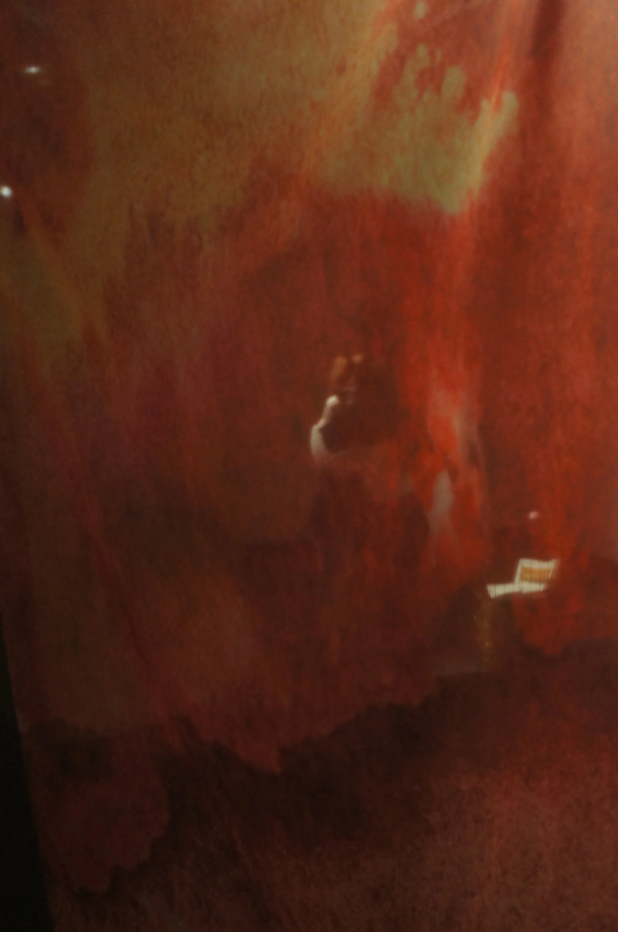 DSC07017.png
