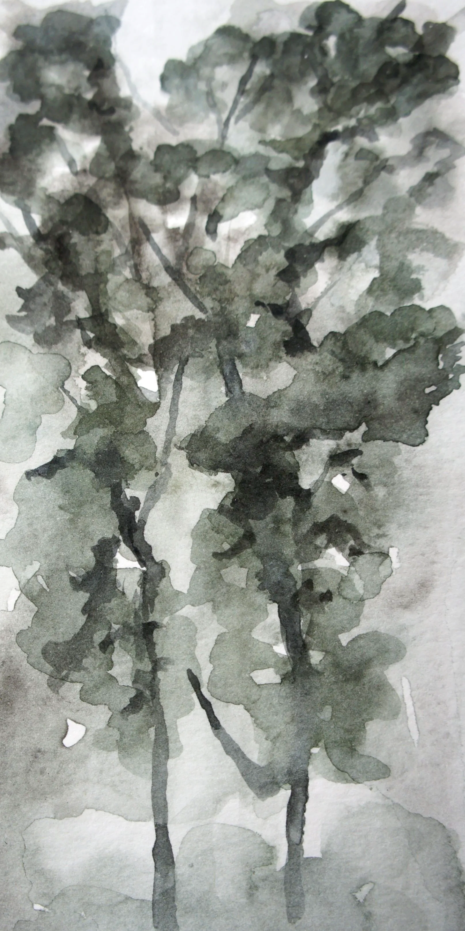 DSC07322.png