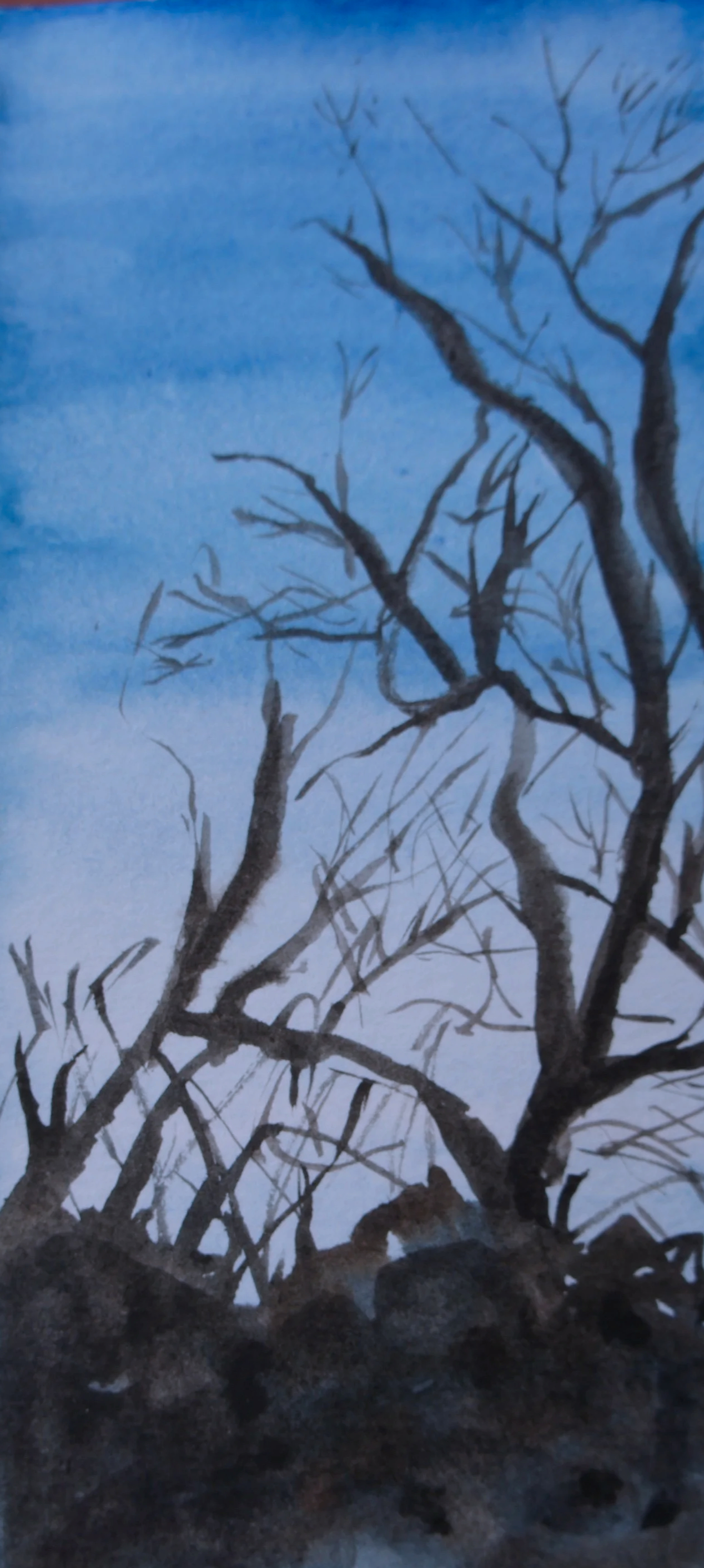 DSC07324.png