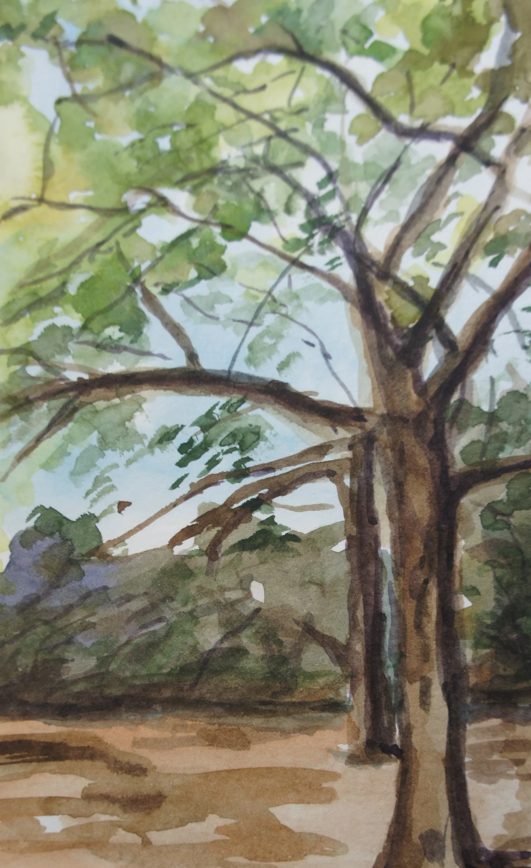 DSC07325.png