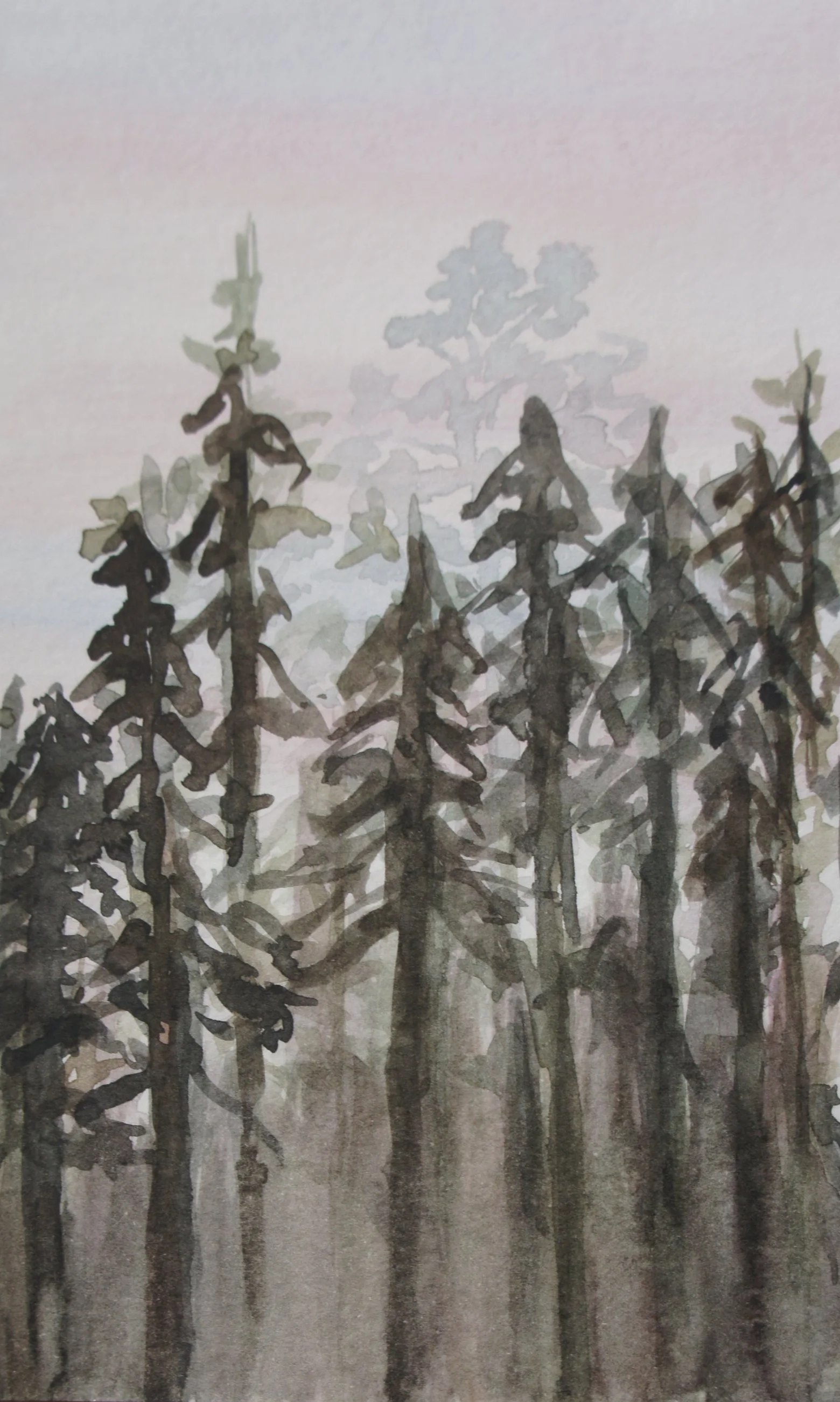 DSC07330.png