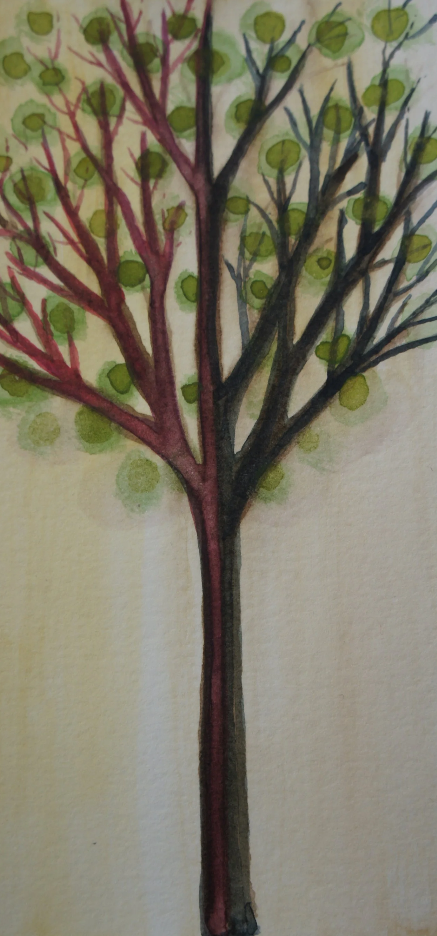 DSC07336.png