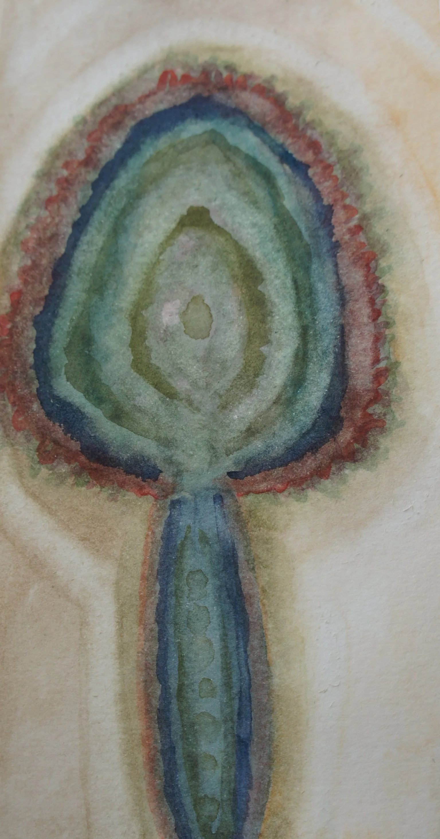 DSC07339.png