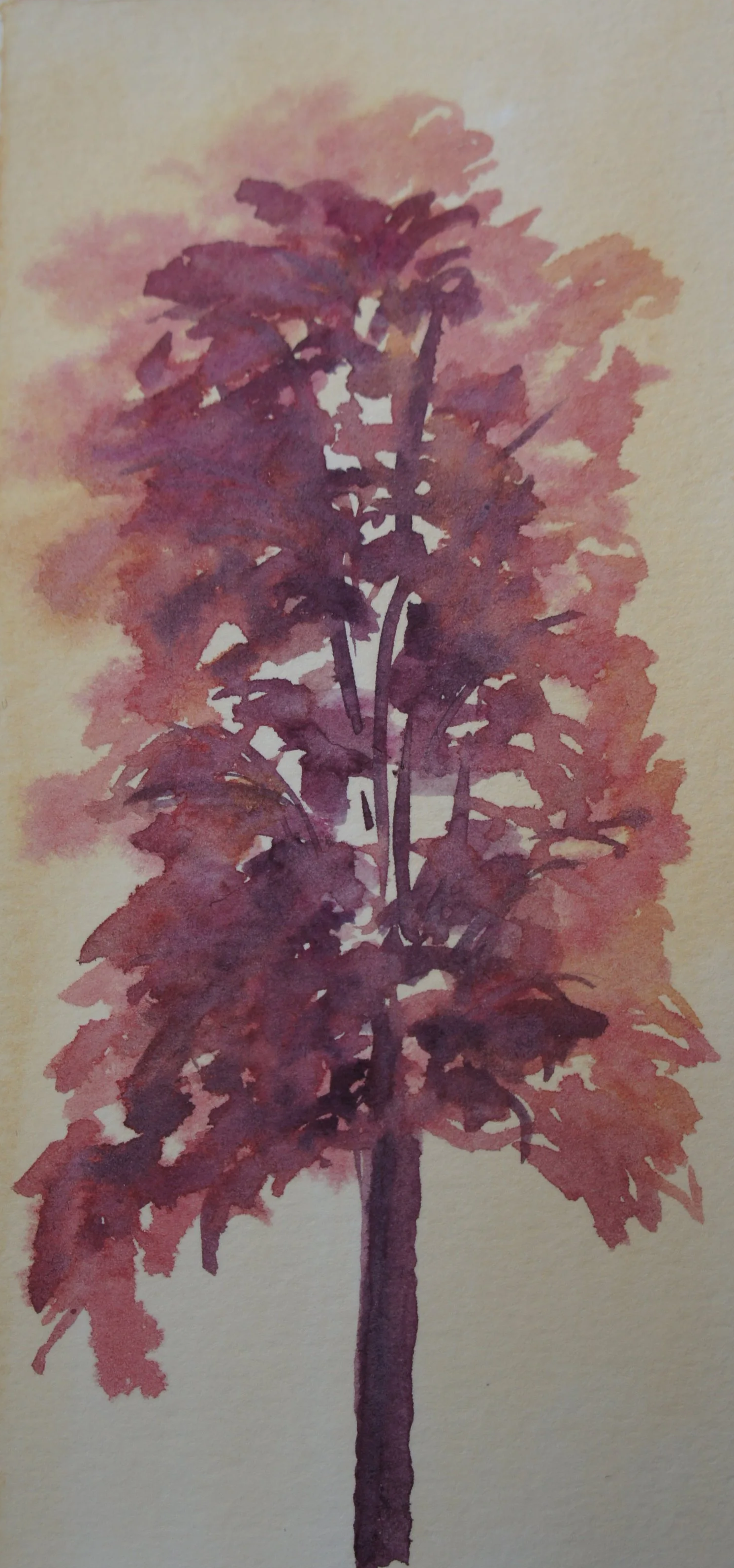 DSC07329.png