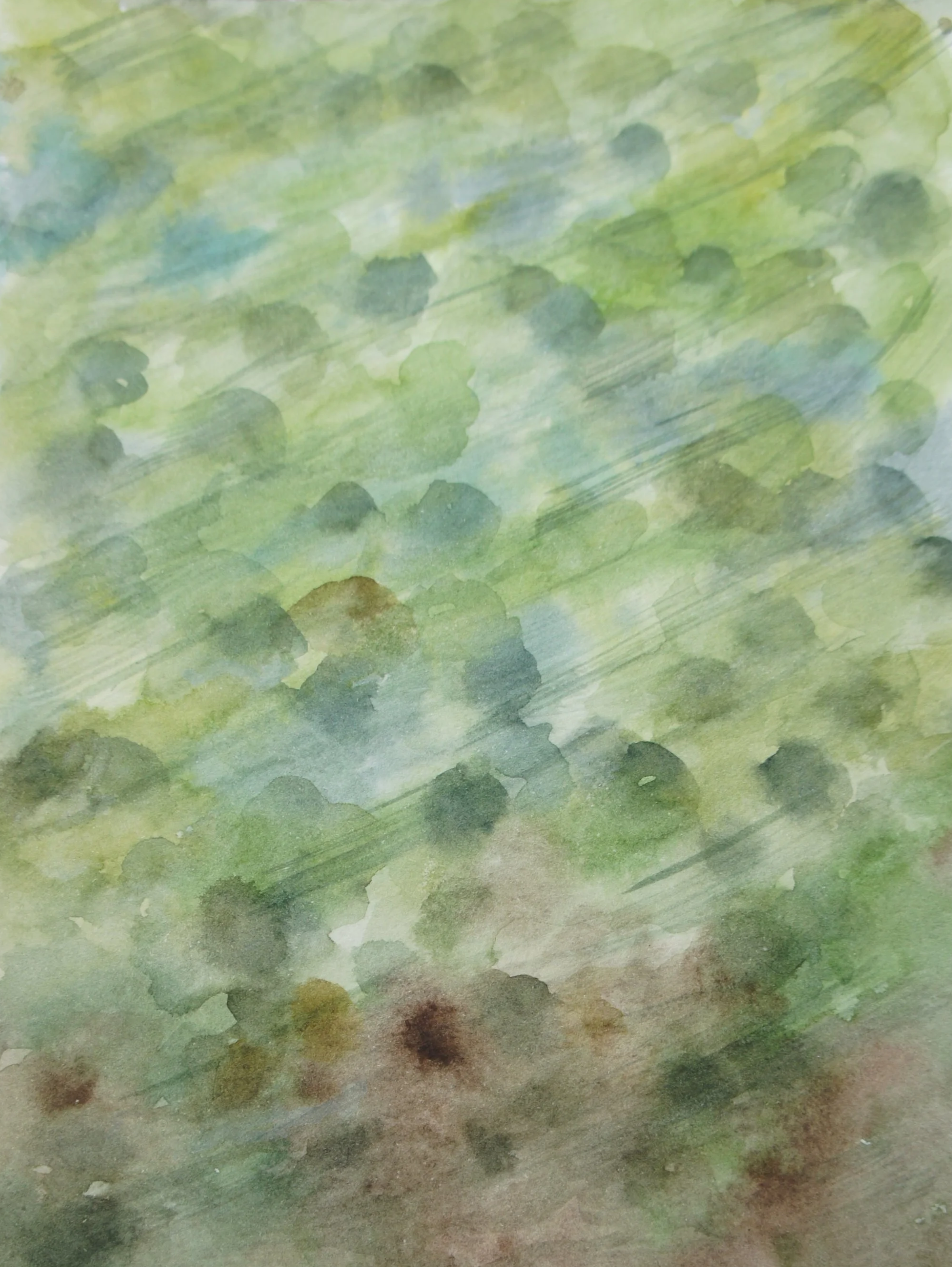 DSC07343.png
